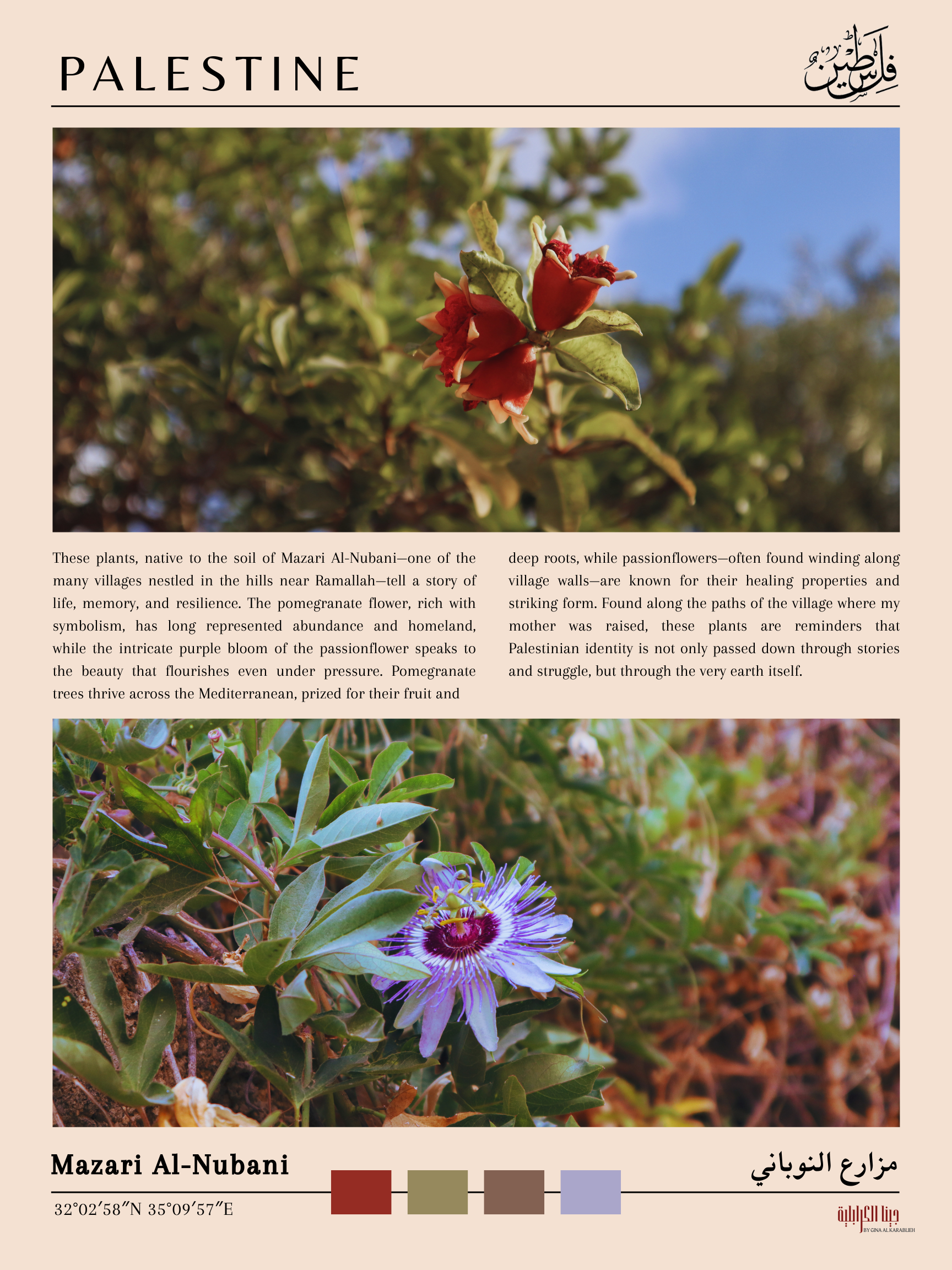 Pomegranate blossom and passionflower in a Palestinian garden; green foliage and clear sky in the background; labeled "Mazari Al-Nubani."