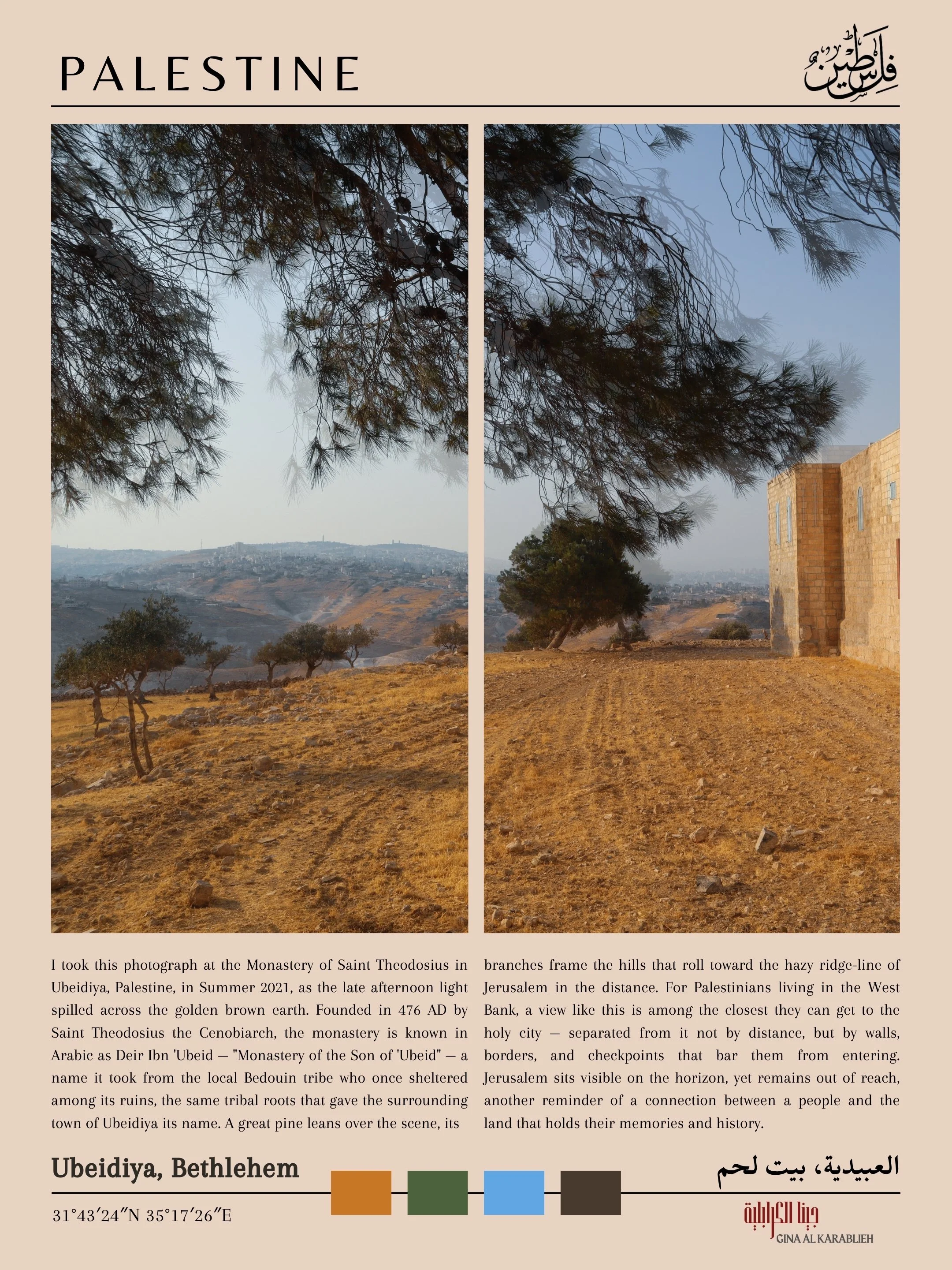 Palestine Prints w credit.jpg