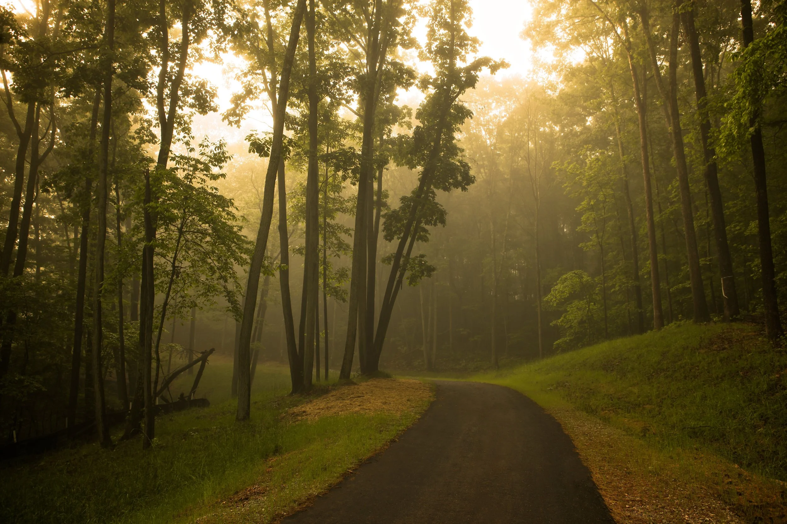 Walking Trails Ladd Landing Tennessee Real Estate
