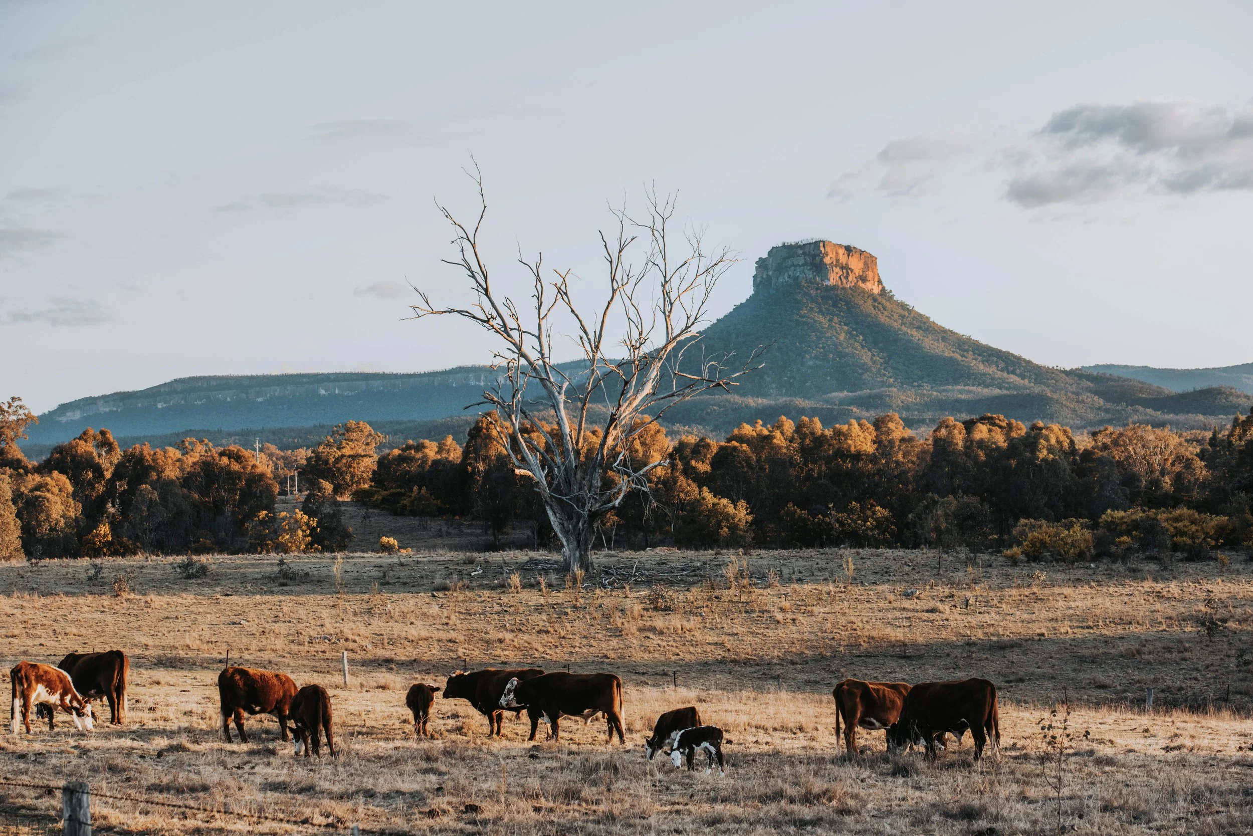 Nature getaway in Capertee Valley NSW