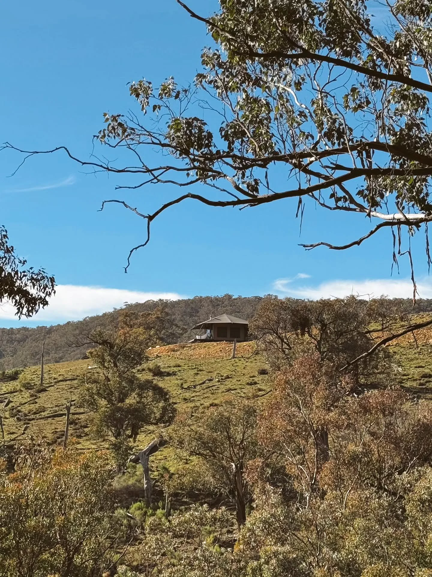 Between open skies and rolling landscapes lies a haven for rest, reflection, and connection. We call this place Wildnest. It&rsquo;s where we&rsquo;ve found our second home, and we hope you discover the same sense of belonging when you stay.

📷 Wild