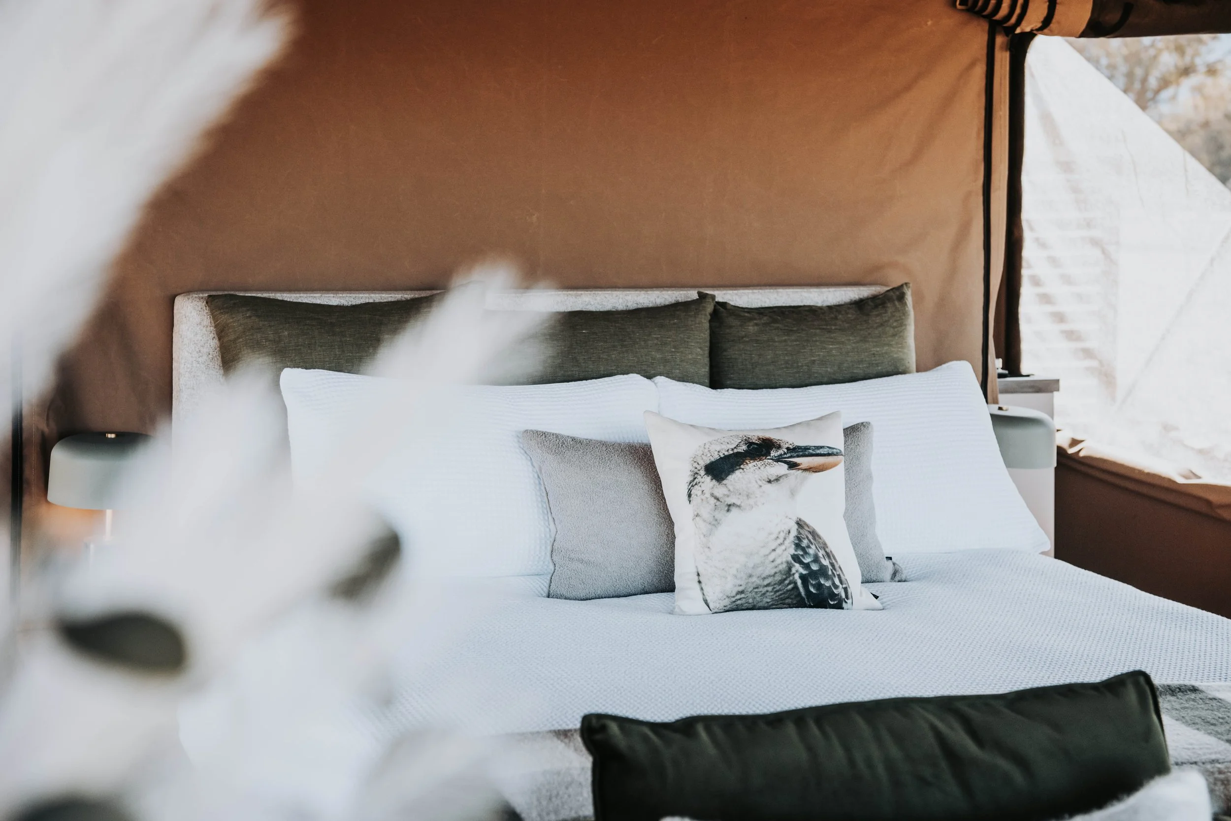 Wildnest-00017.jpg