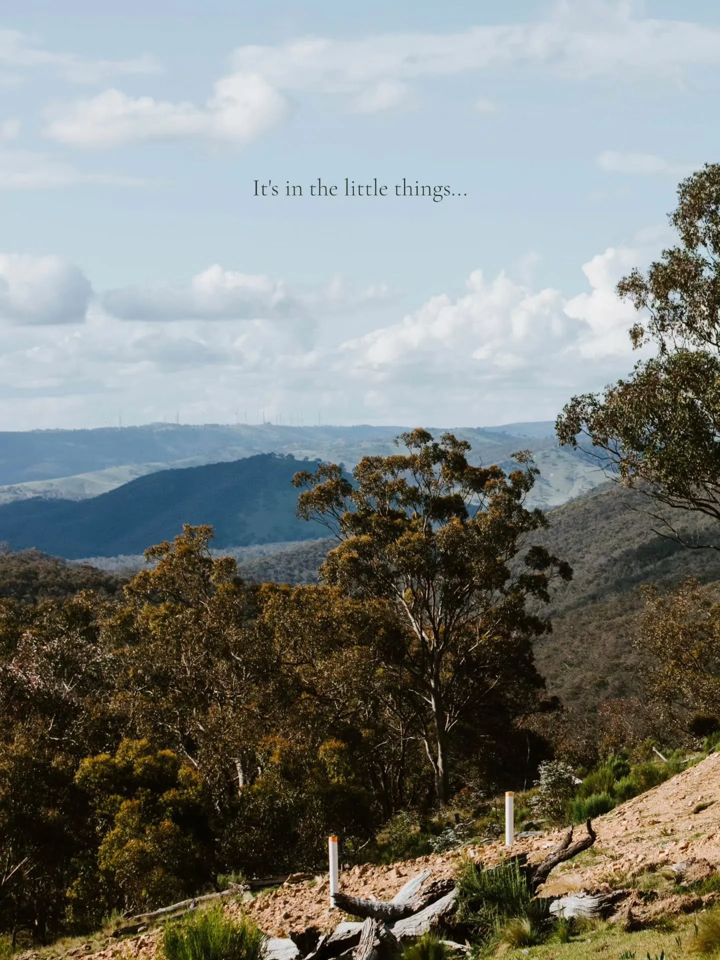 Time has a different rhythm at Wildnest. You start noticing the pauses, the little stretches of stillness, and realise that it&rsquo;s the little things that you carry with you. Suddenly, you catch yourself smiling at ordinary moments - the sunlight 