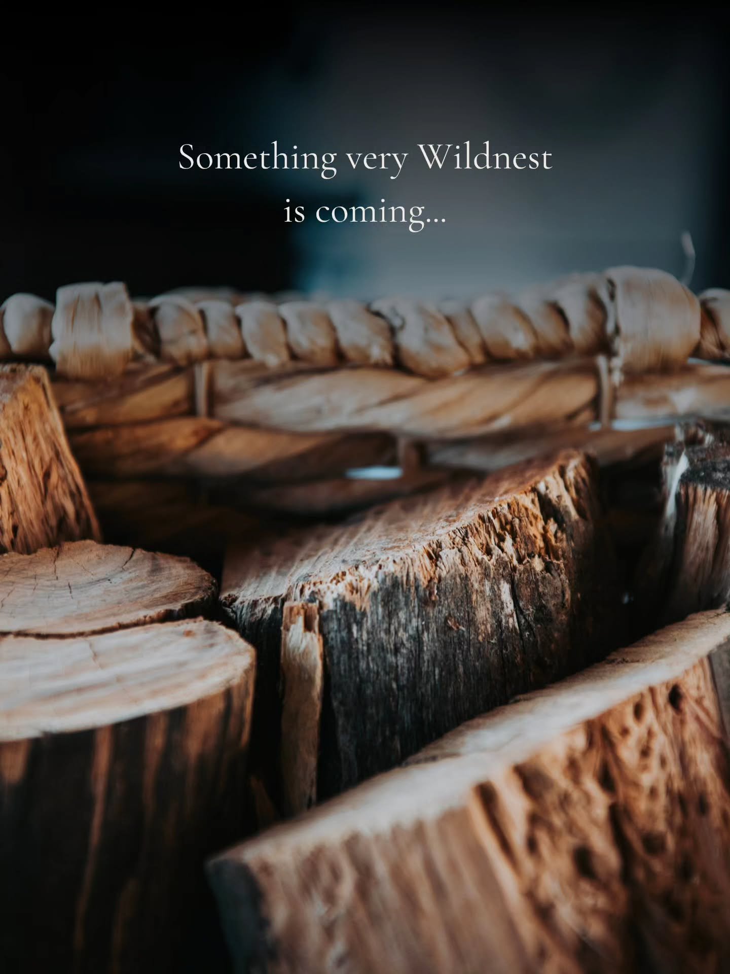 We&rsquo;ve got something exciting up our sleeves, and it's not your usual Wildnest weekend away. Stay tuned.