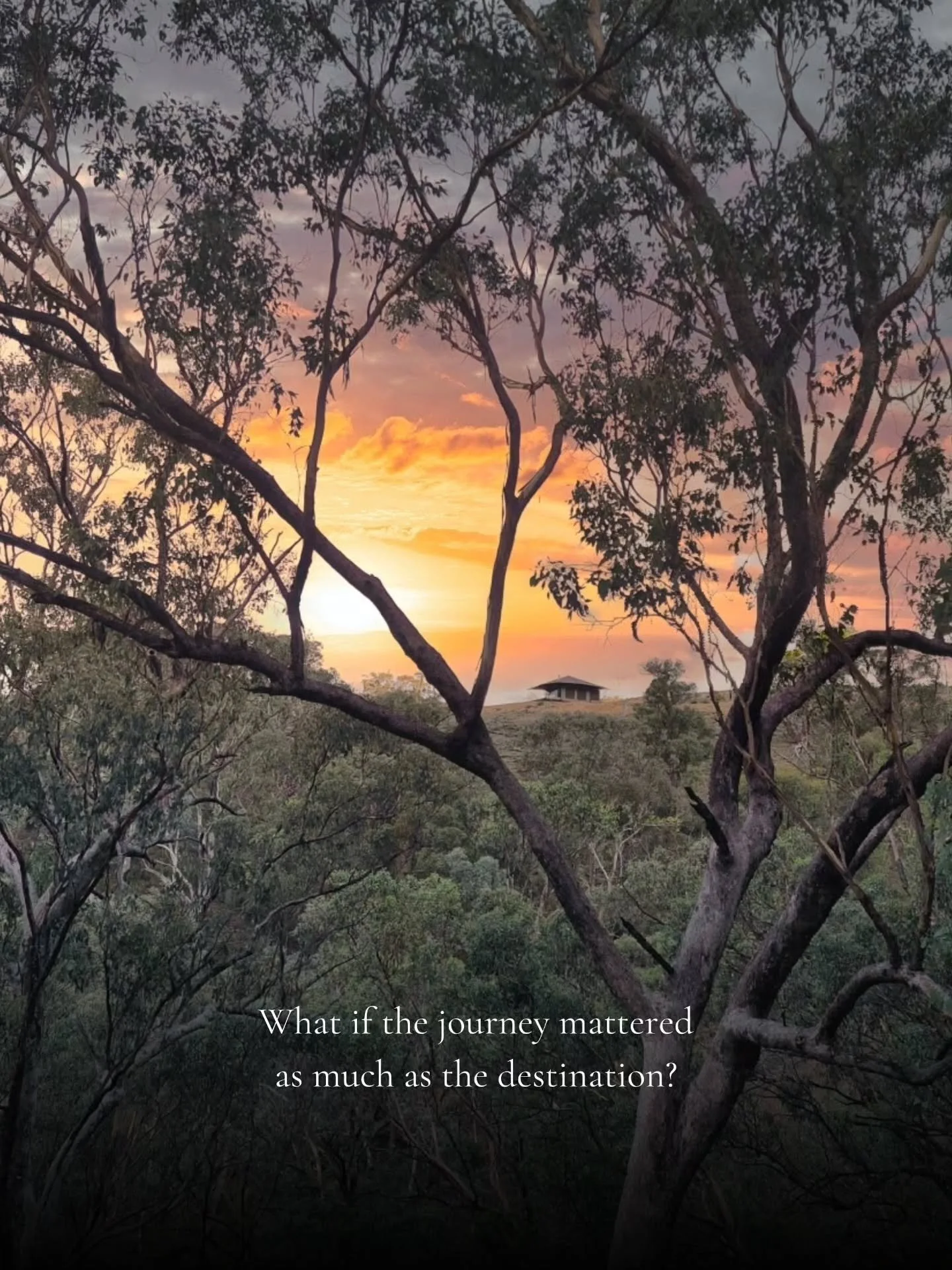 Not far from anything, yet distant enough for the noise to disappear. Wildnest Wilderness in Turondale is just 25 minutes from Bathurst, where seclusion and adventure come together.

Tag someone you&rsquo;d get a little lost in nature with.

📷 @helc