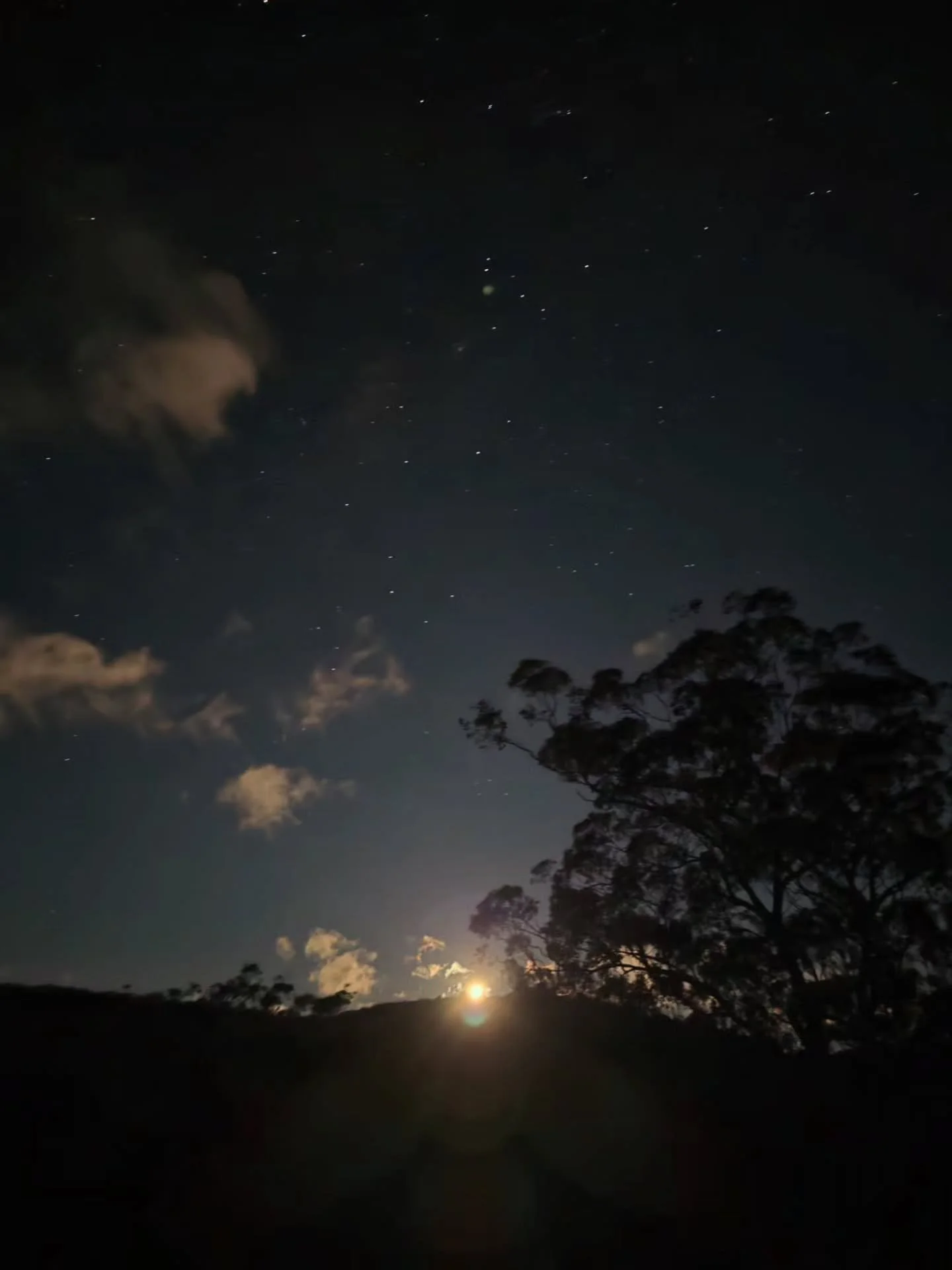 Popping a little moonlight magic into your feed, straight from Wildnest Wilderness in Turondale, NSW. Some of the best evening entertainment doesn't require a screen. Just a clear sky, a rising moon, and a little space to breathe.

A picture-perfect 