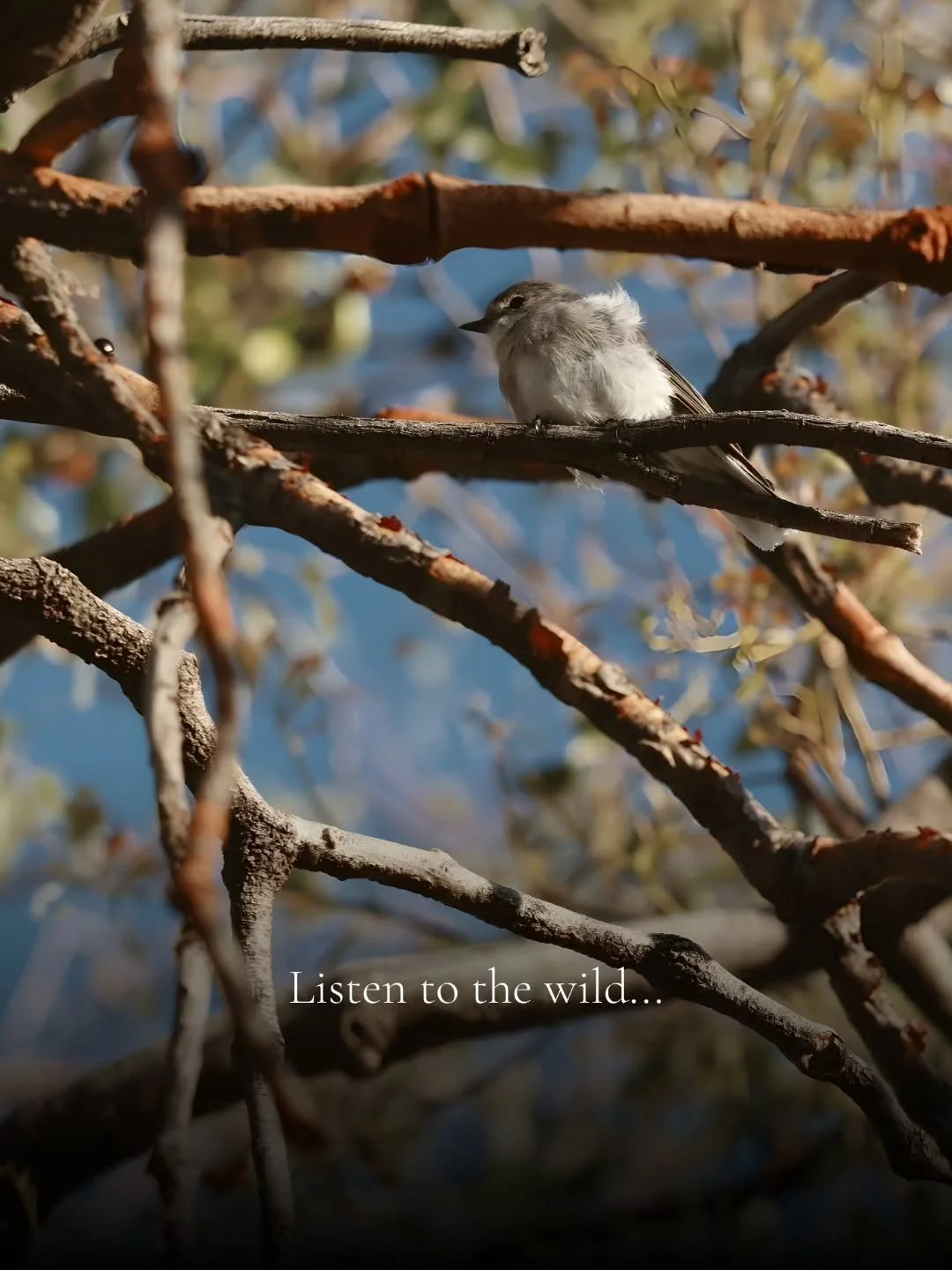 Wildnest invites you to experience the day, not chase it.

It's the freedom to simply be, found in the pause between birdsong, the quiet gaze across the valley, the warmth of an outdoor bath as the day slips into dusk.

Slow down a little longer. The