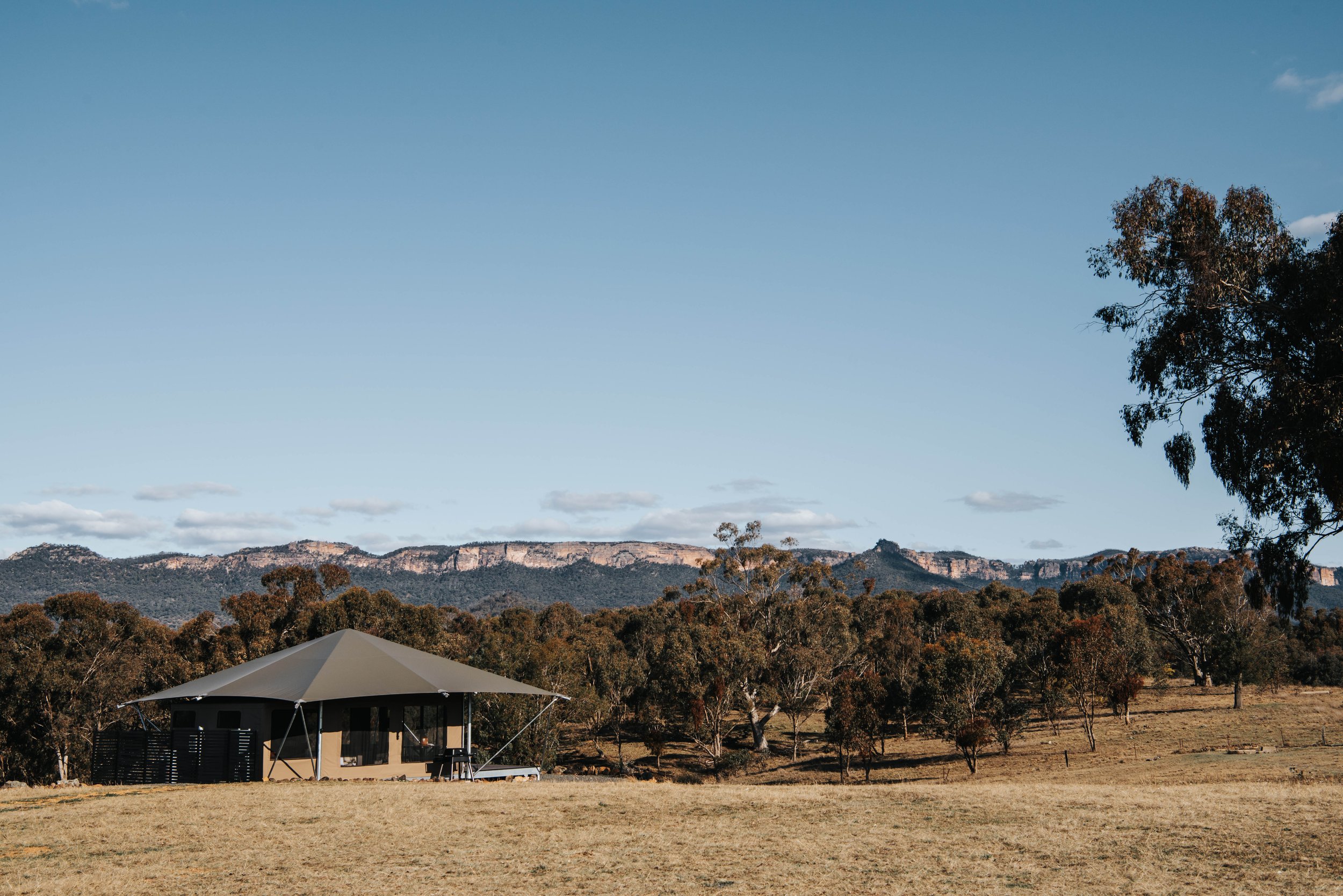 Birdwatching in Capertee Valley: A Spring Guide to Slowing Down and Looking Up