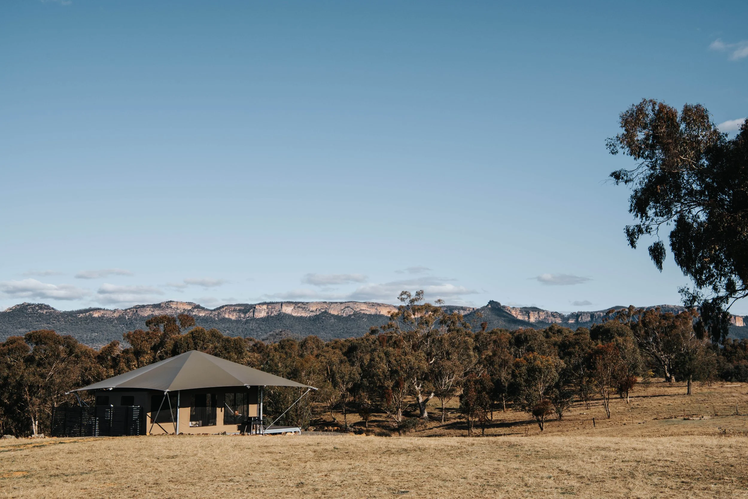 Birdwatching accommodation in Capertee Valley NSW at Wildnest Farmstay