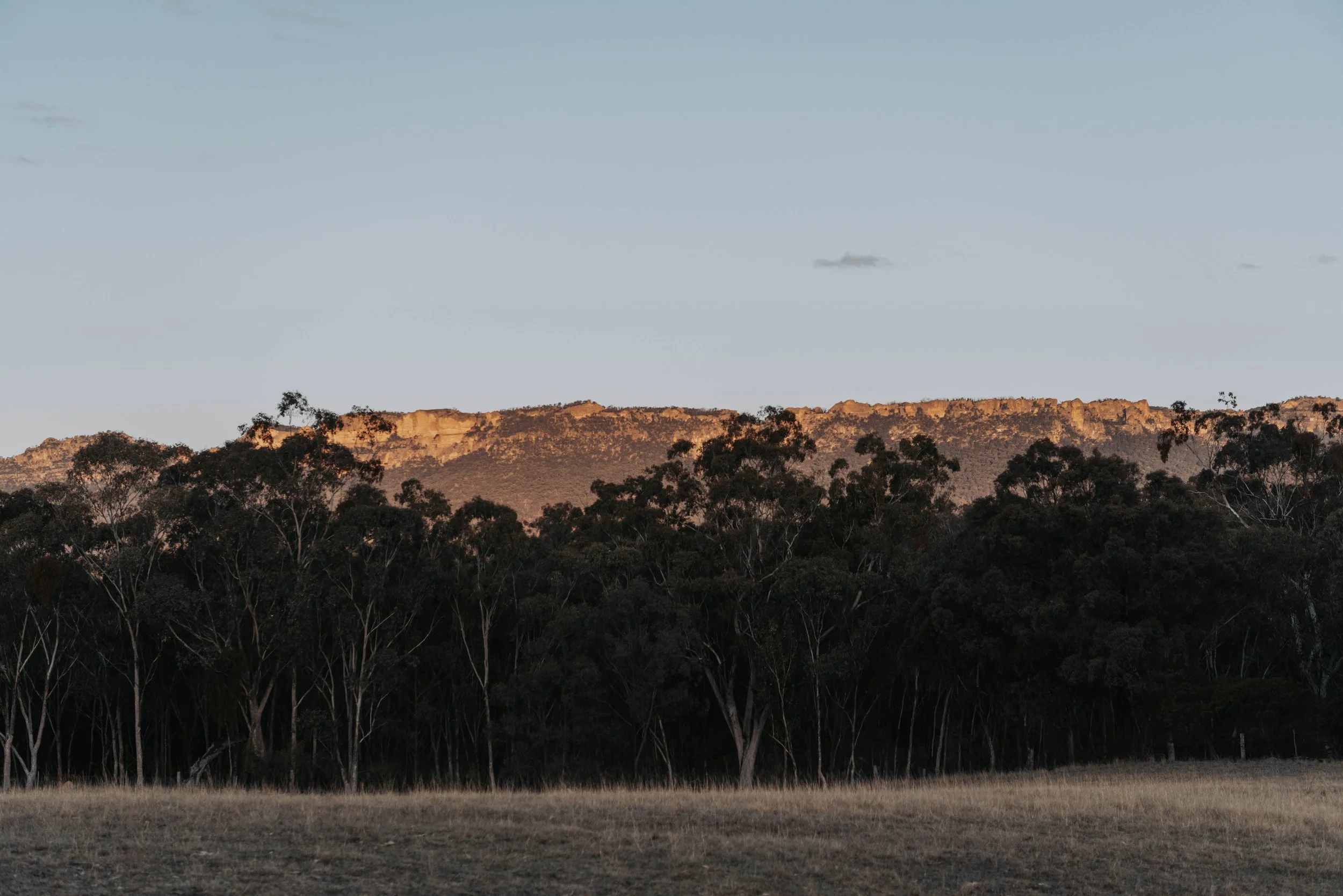 Sunrise over Wildnest Farmstay in Capertee Valley.