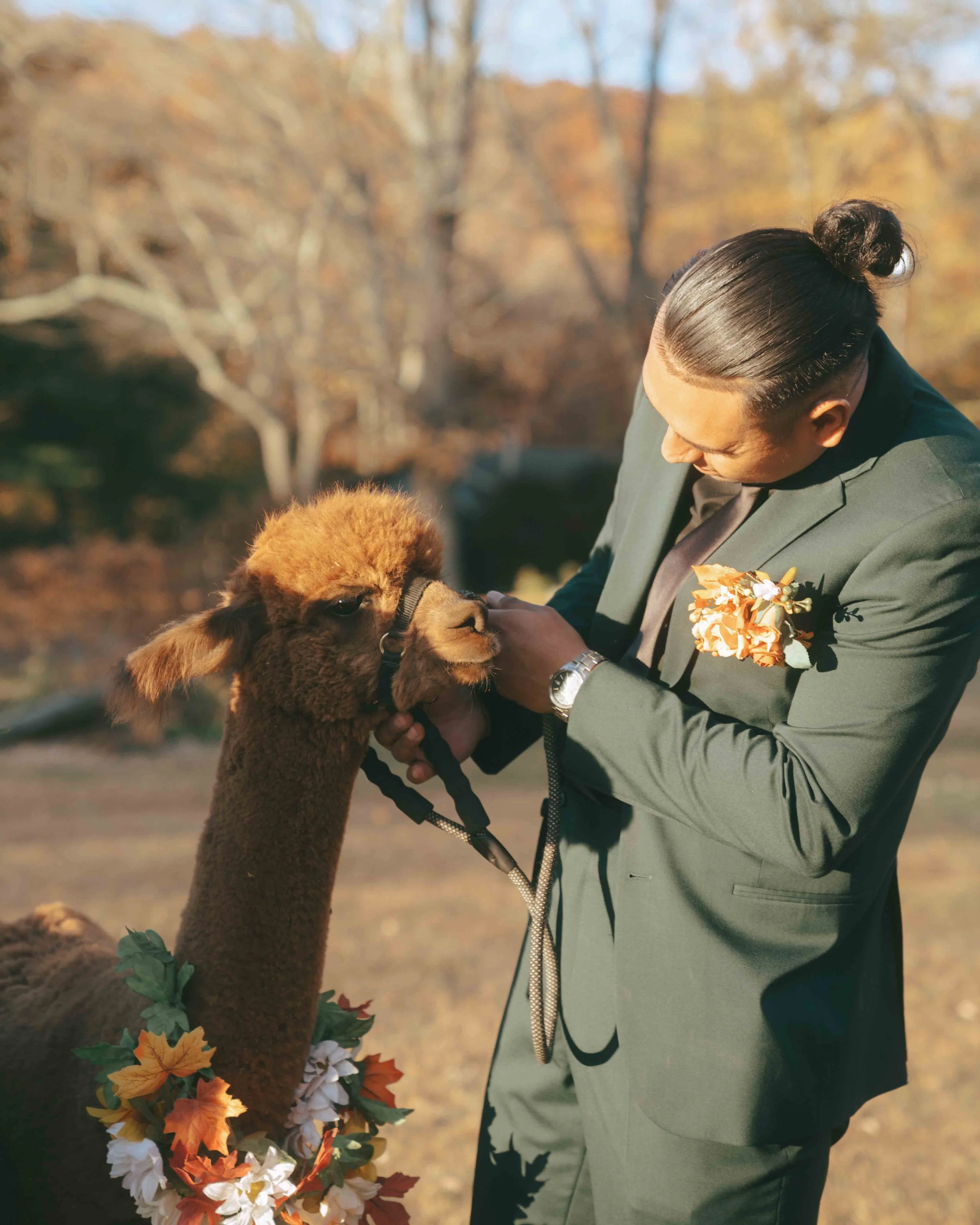 waterloo-village-wedding-venue-alpaca-7.jpg