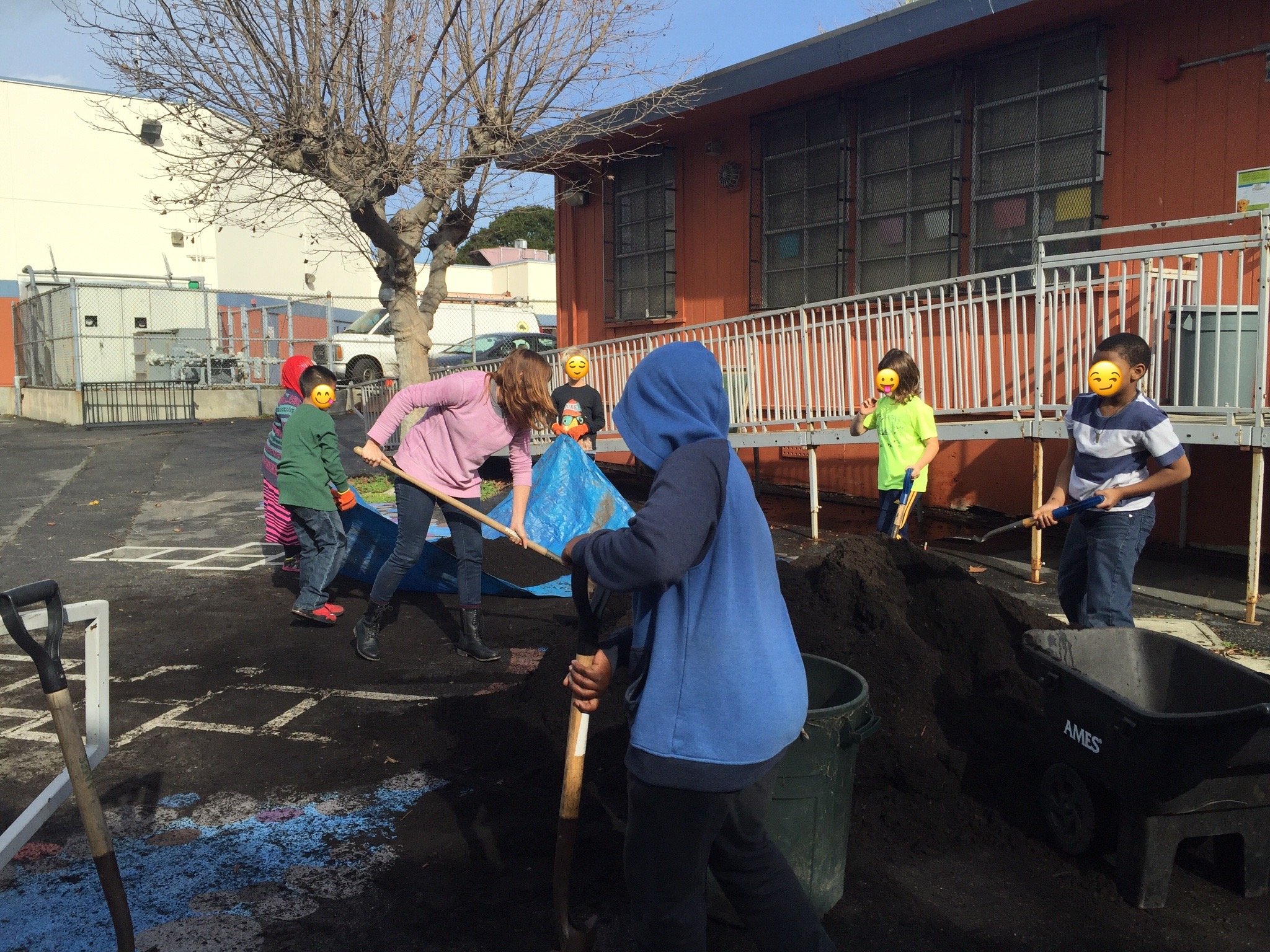 Parent volunteer with students transferring over 2 cu yard of compost from playground drop off into the garden space. ~2015