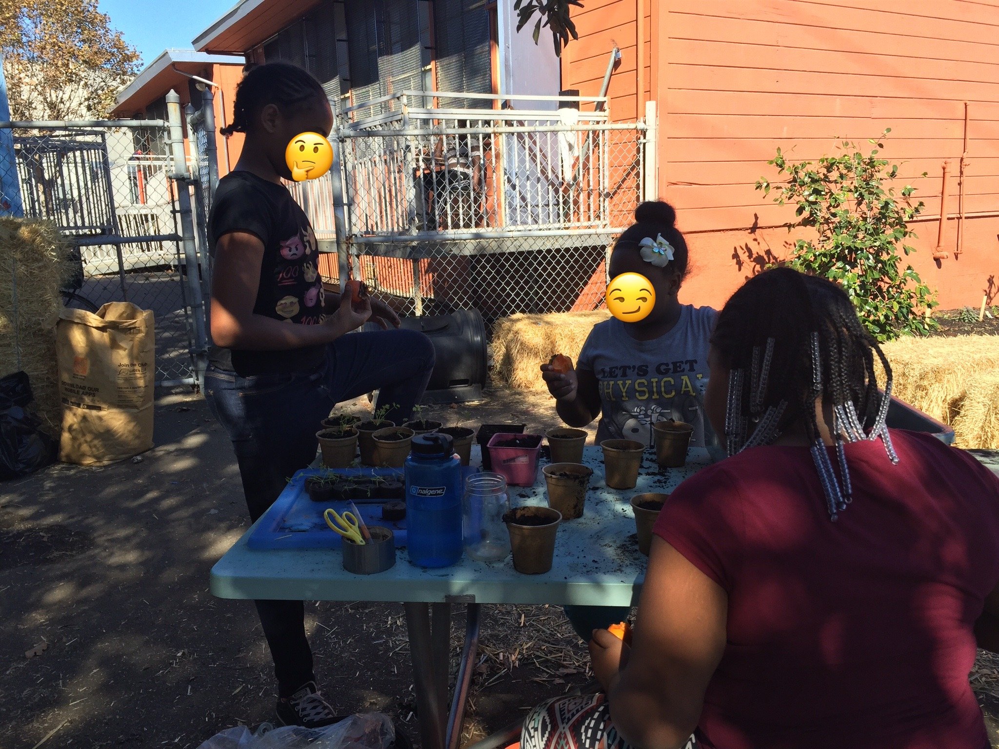 Students are trying persimmons for the first time. ~2015