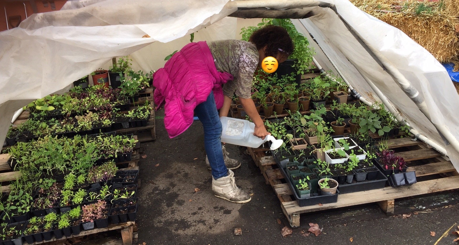 K-5 students planted over 100 starts to prepare for our Earth Day work party/plant sale and for their own home container gardens. ~2014