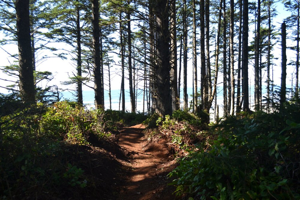 Walk through the woods at the Seabrook Resort