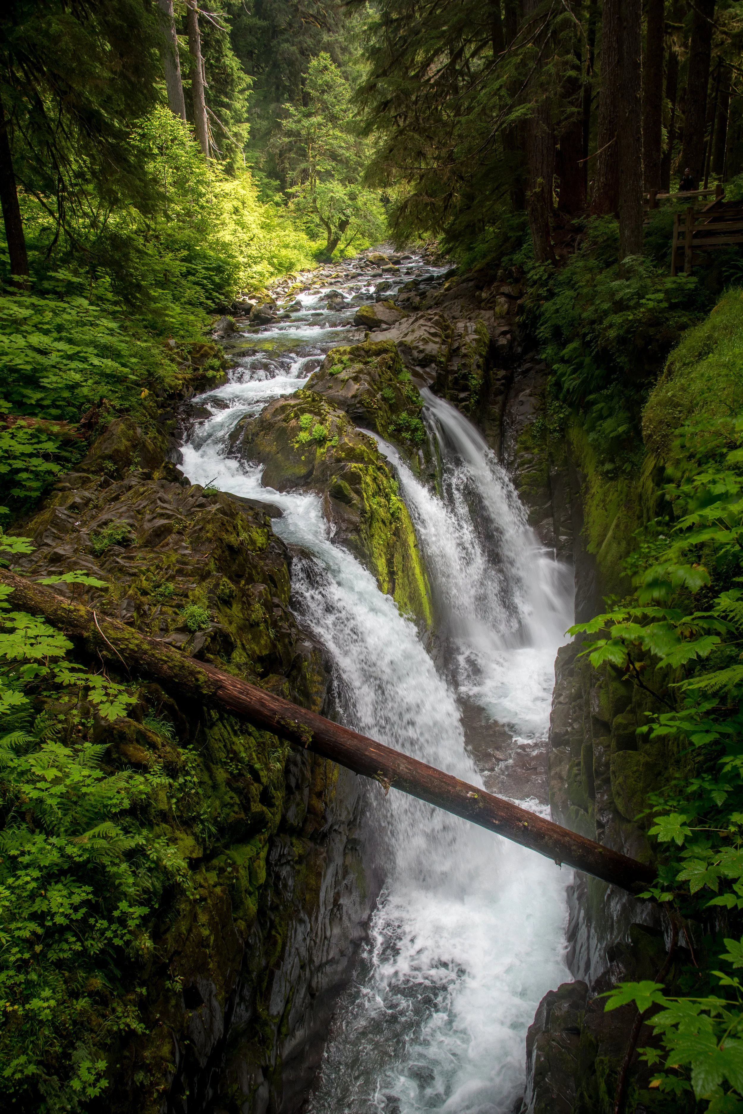Sol Duc Falls Olympic Waterfall Trail Port Angeles Olympic