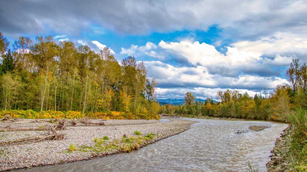Carbon River. Photo: Phil Lowe