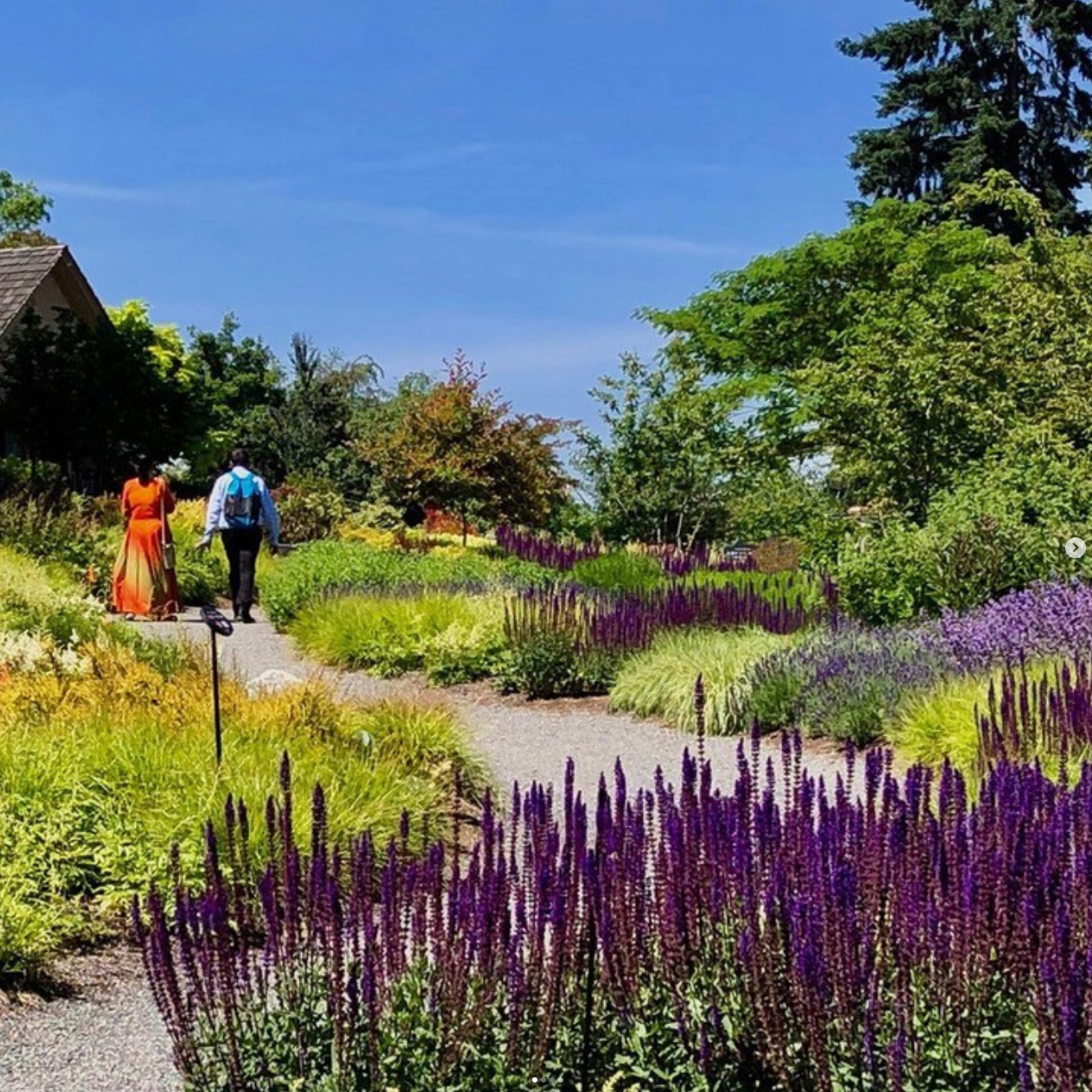 Five Great Gardens To View The Flowers