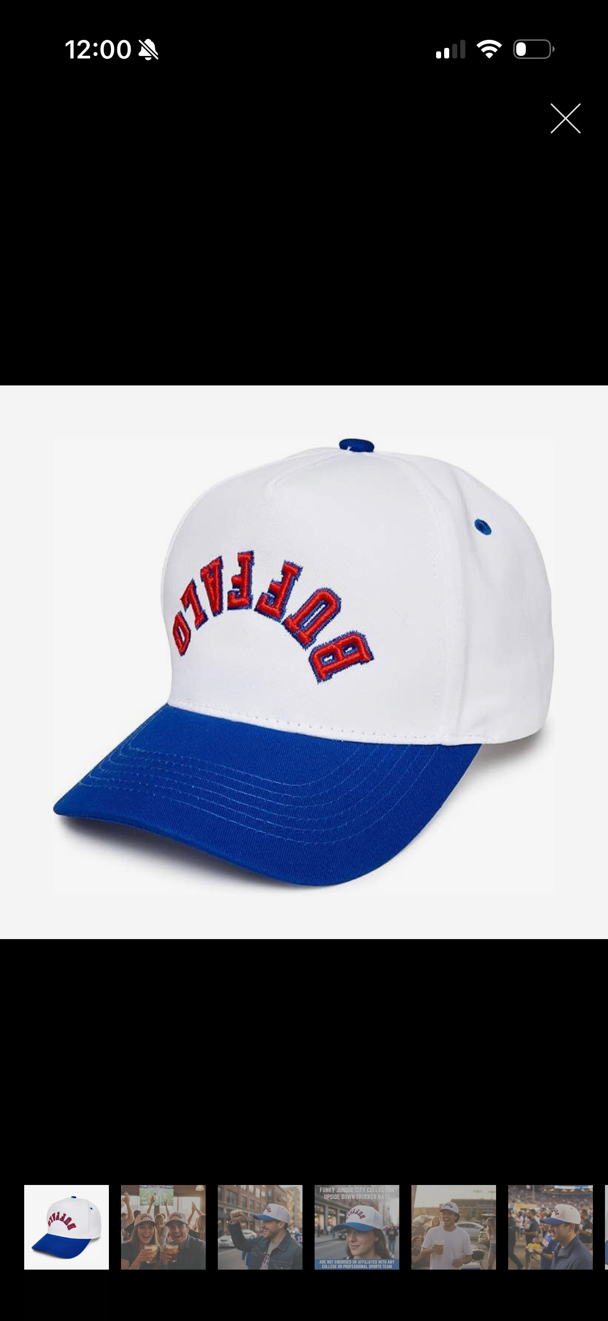 Buffalo Upside Down Baseball Hat