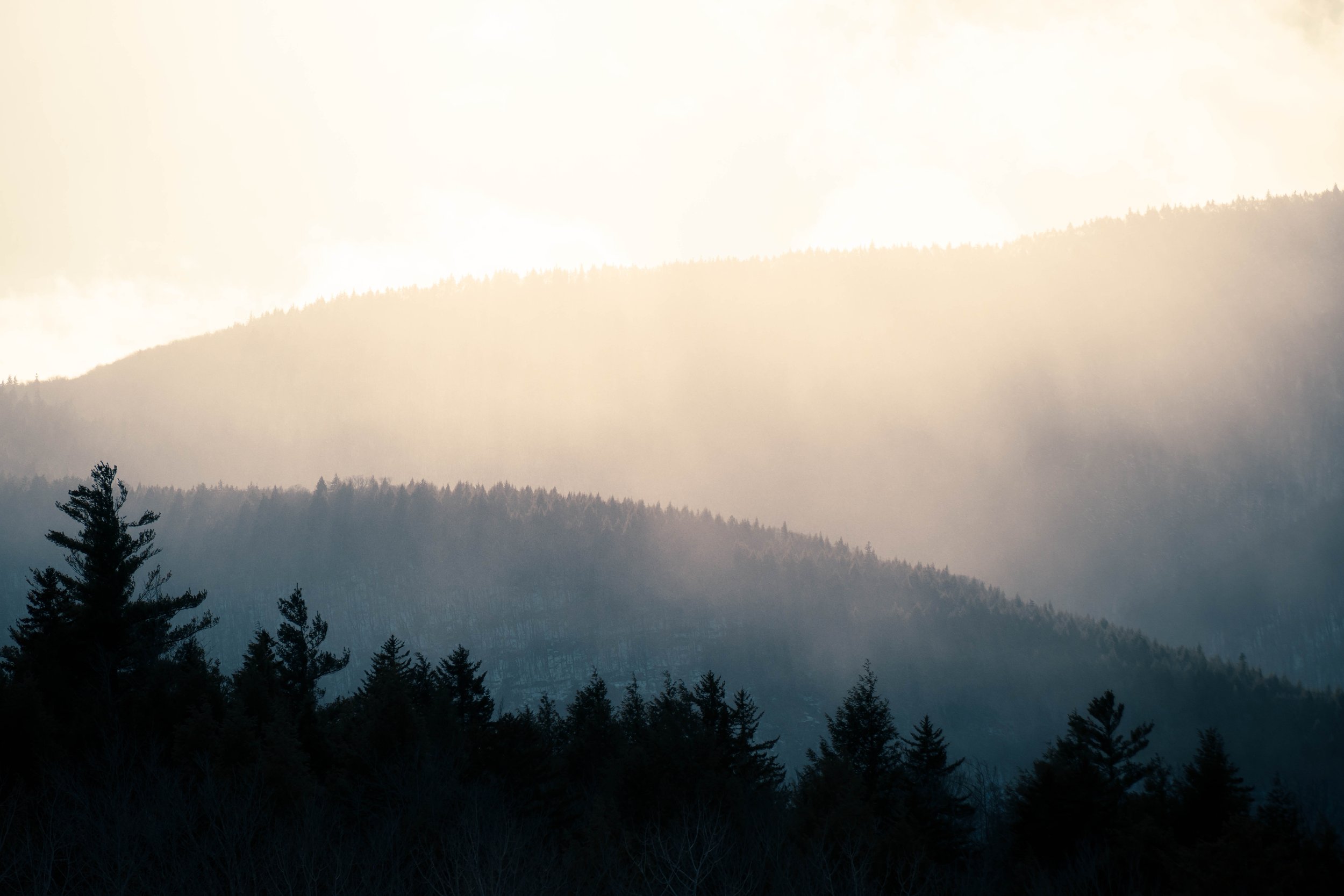 20230131-5.jpg