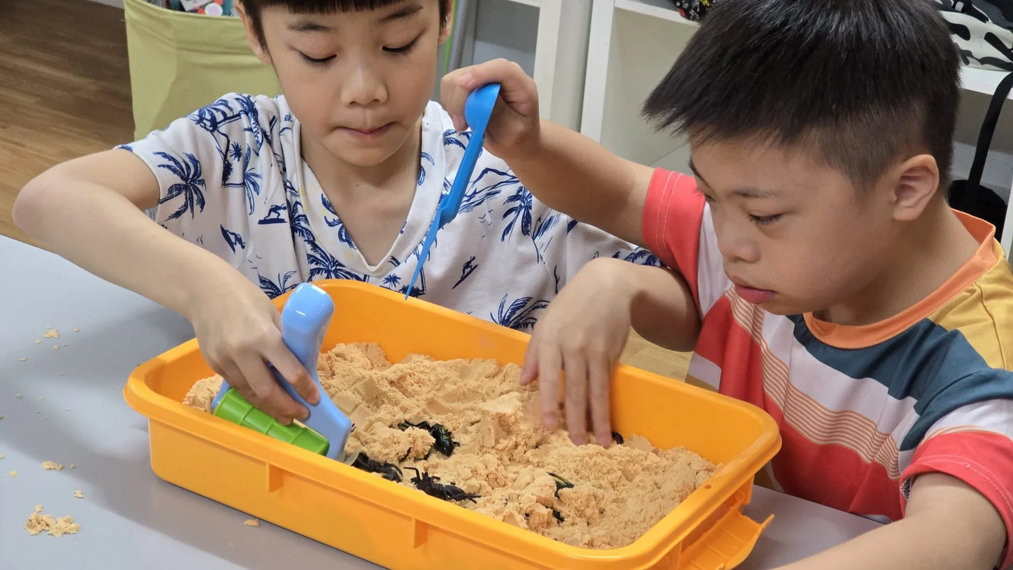 WhatsApp Image 2026-03-26 at 10.34.04 AM (3).jpeg