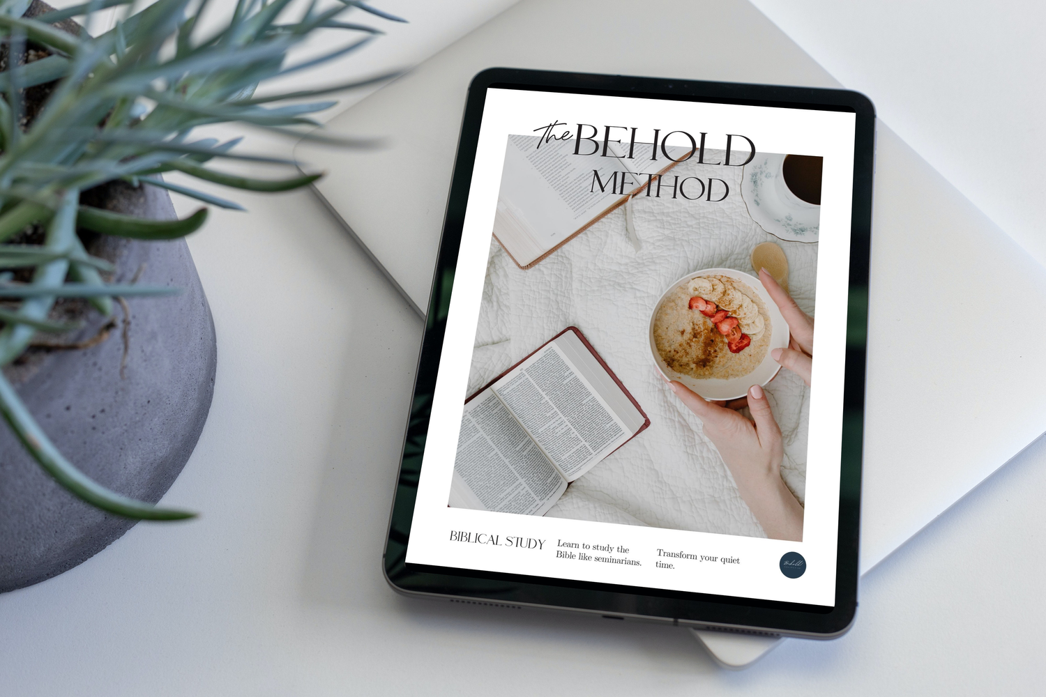 The Behold Mercantile — behold!
