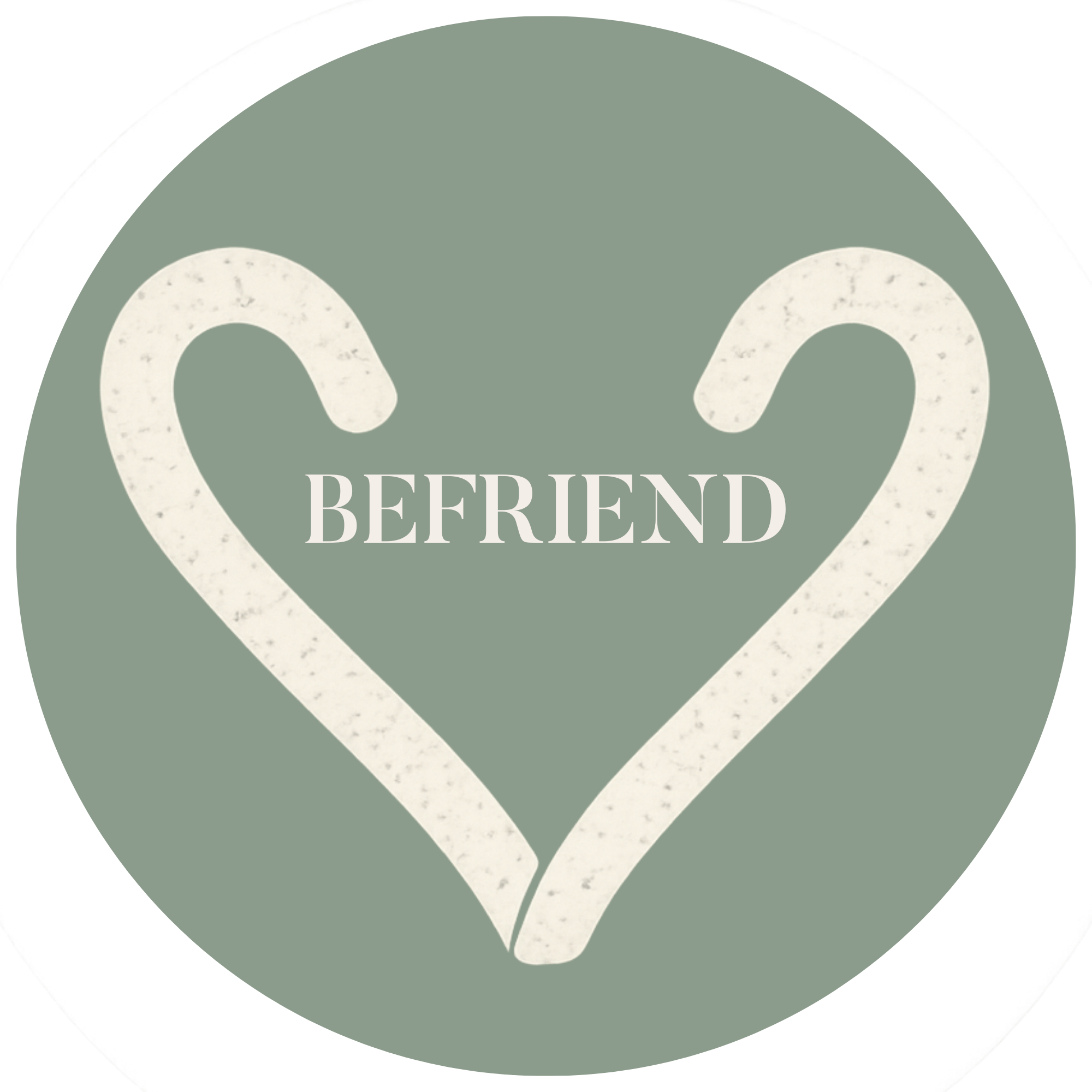 THE BEFRIEND Intensive