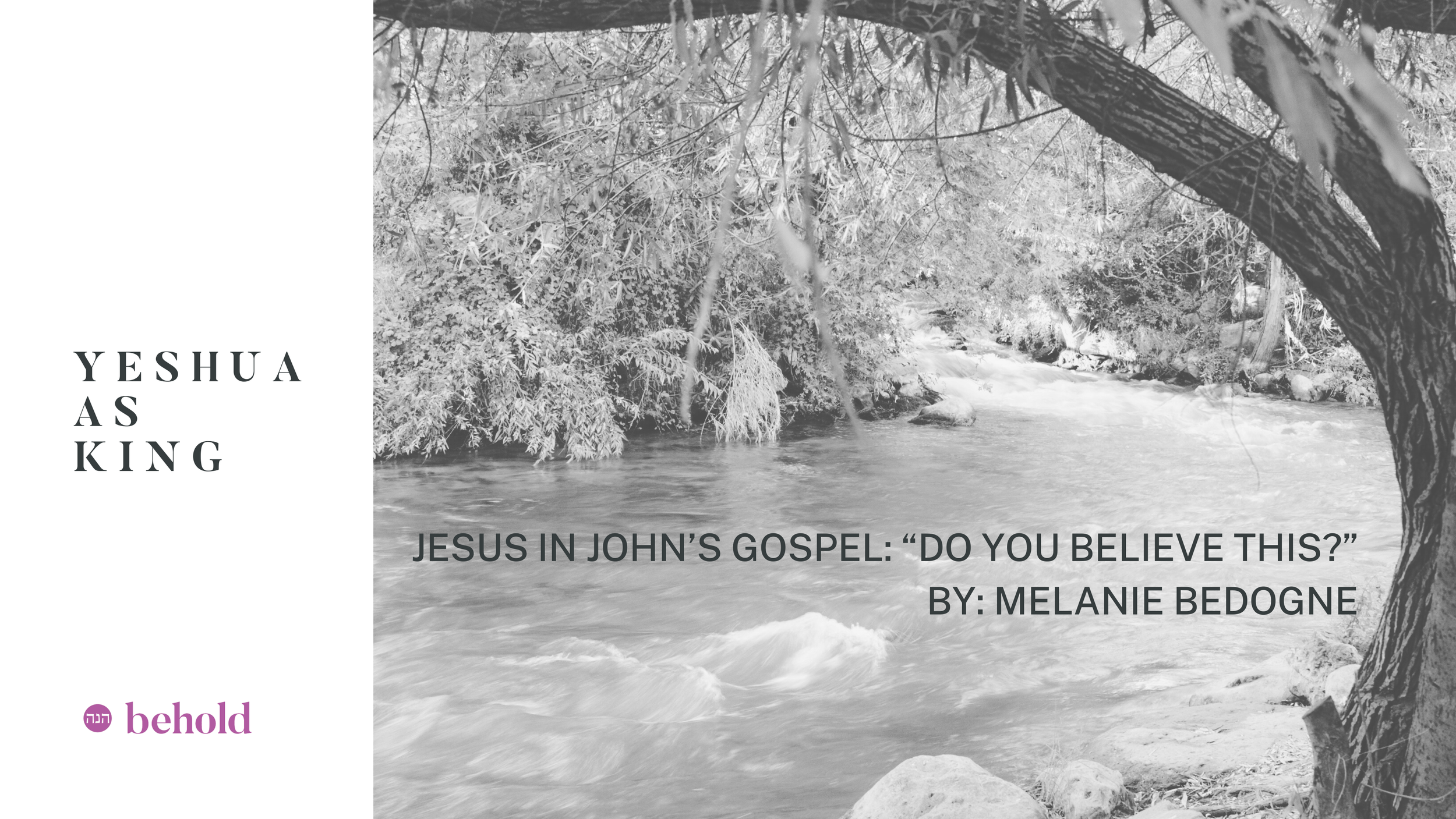 Jesus in John’s Gospel: “Do You Believe This?”