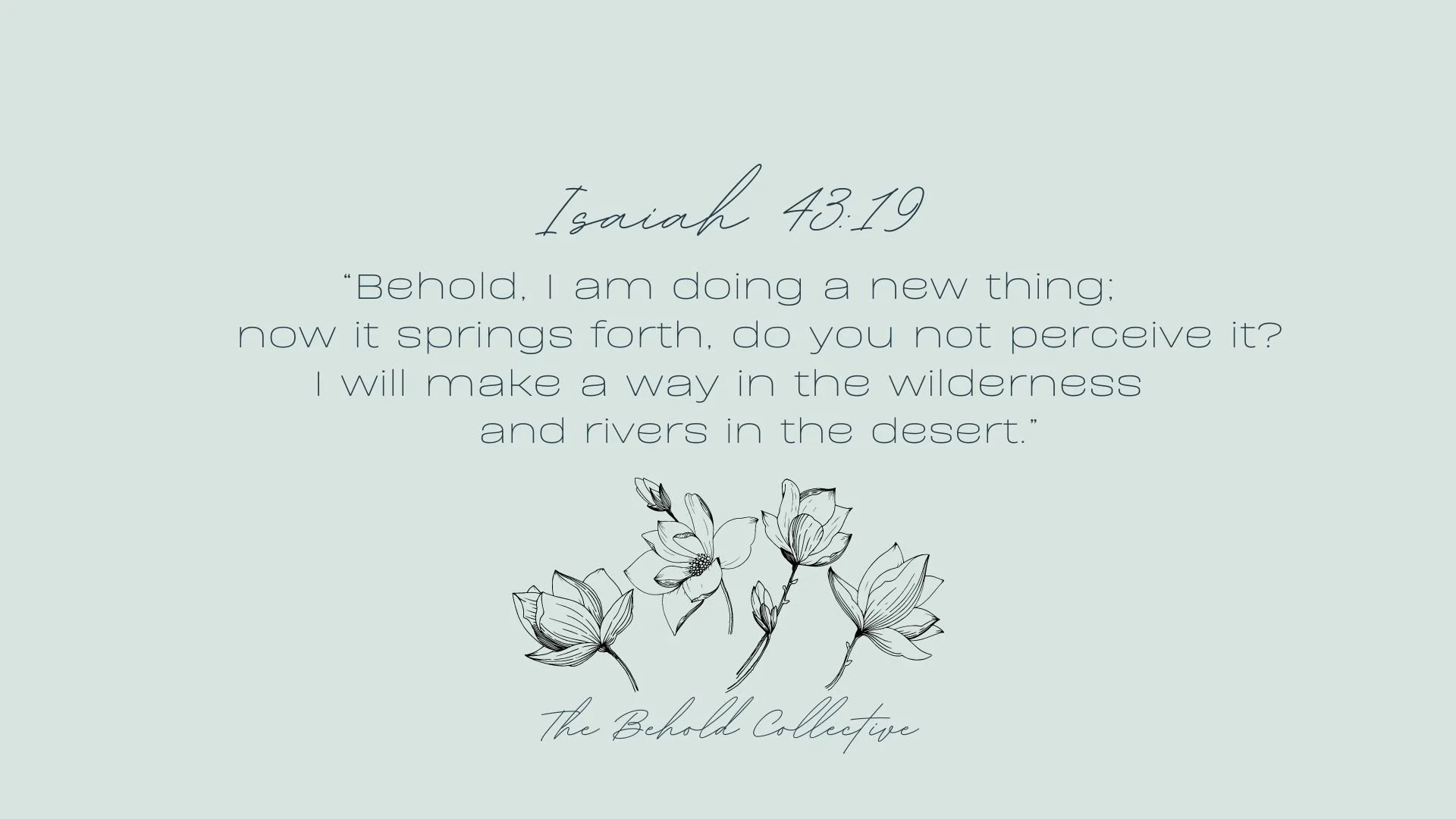 Behold! A New Thing! — behold!