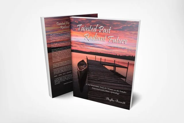 Two copies of a book titled "Tainted Past, Radiant Future" with a cover image of a dock and rowboat during sunset.