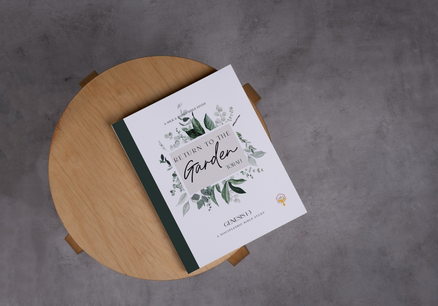 Behold Bible Studies & Books — behold!