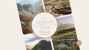 The Behold Blog | Explore with Insight — The Behold Collective