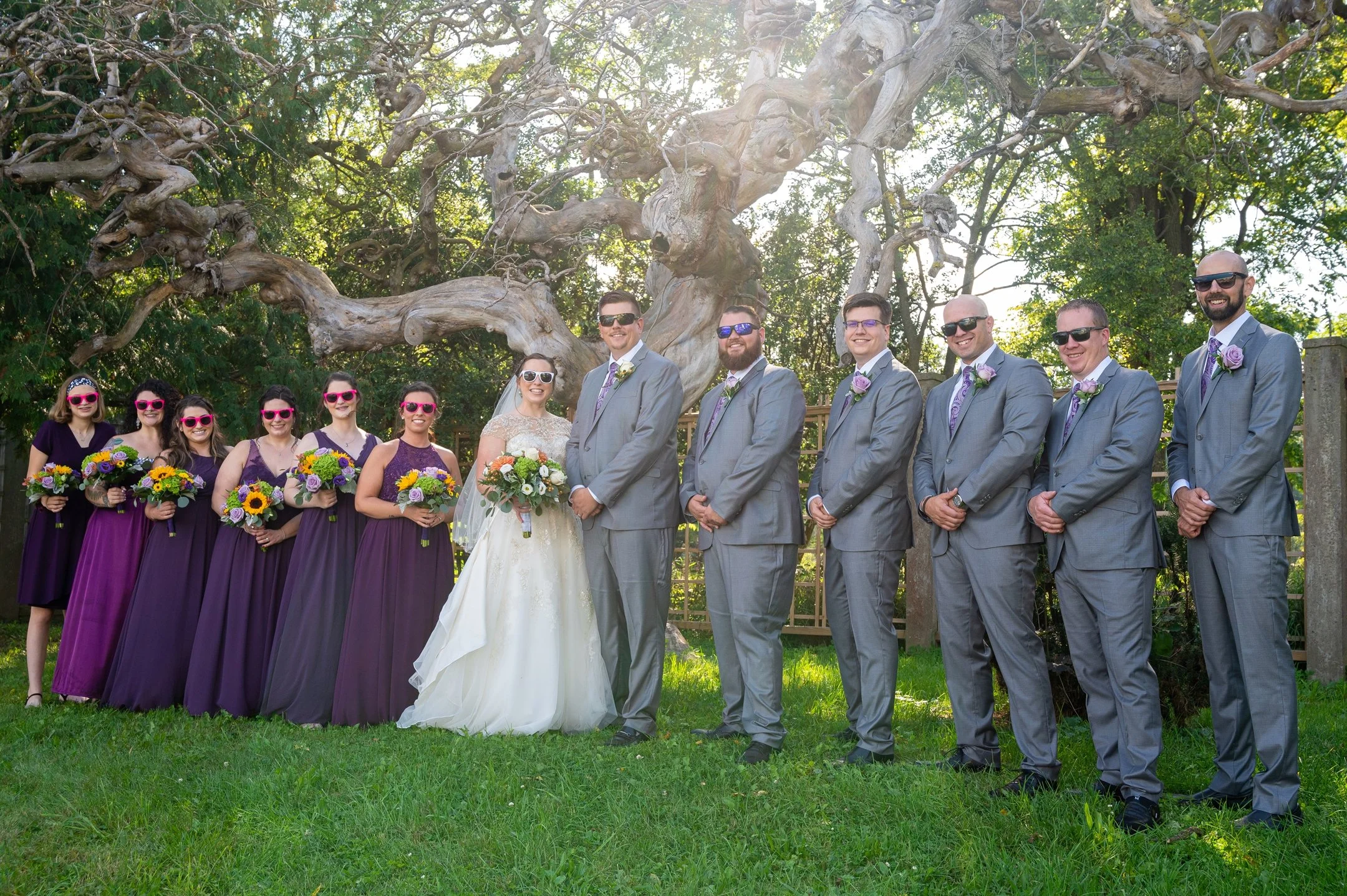 Wedding party with bride, groom, bridesmaids in purple dresses, and groomsmen in gray suits, all wearing sunglasses, standing outdoors under a large tree.
