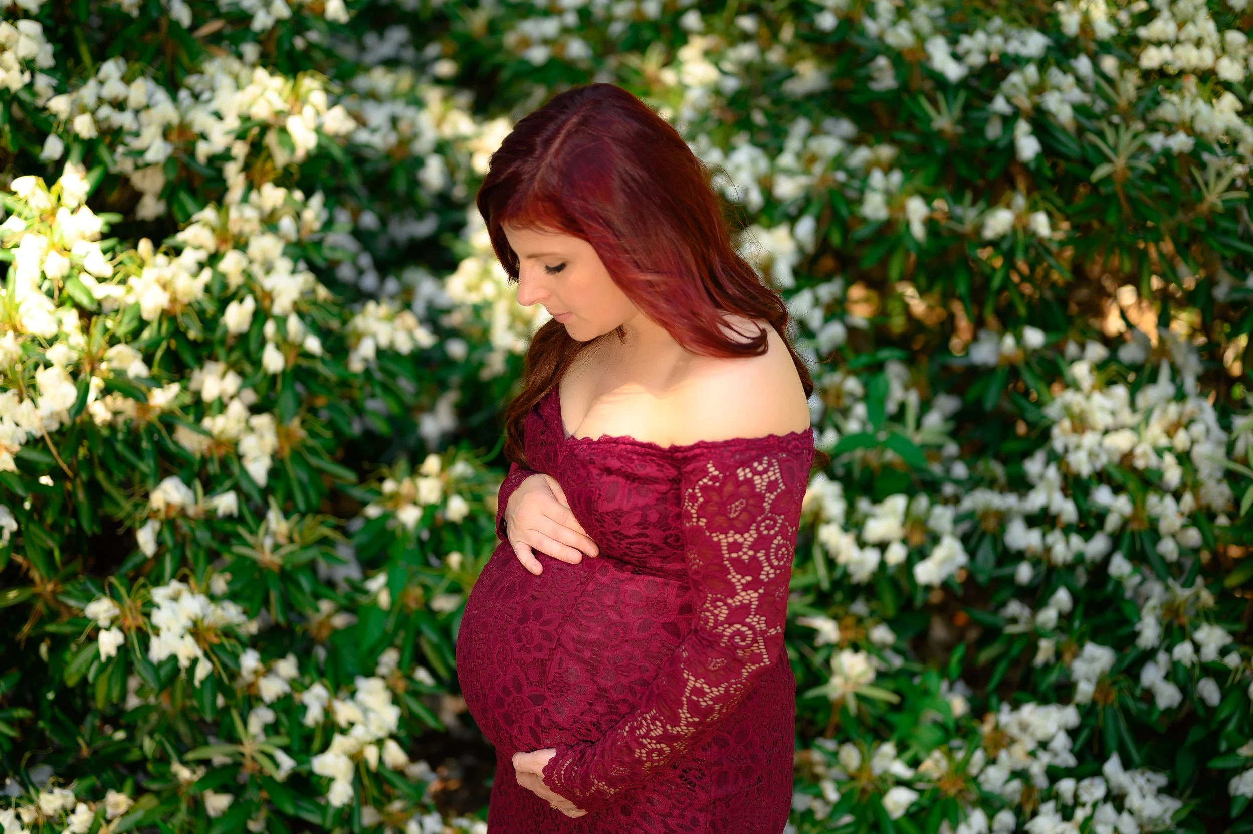 Pregnant woman in a burgundy lace dress, standing in front of flowering bushes.