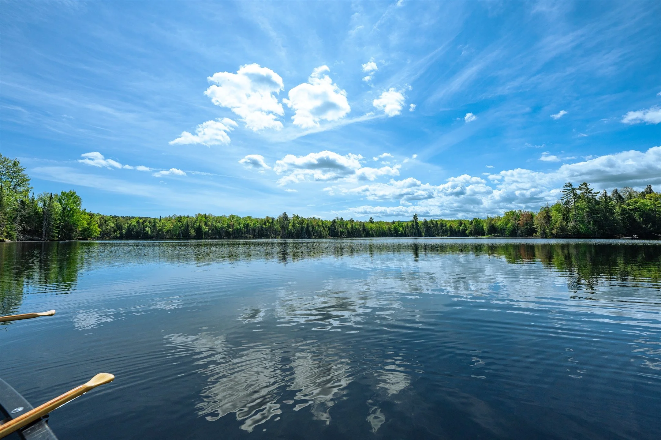 Scenic view of a calm lake with reflections of clouds in the water, surrounded by green forest under a blue sky with white clouds.