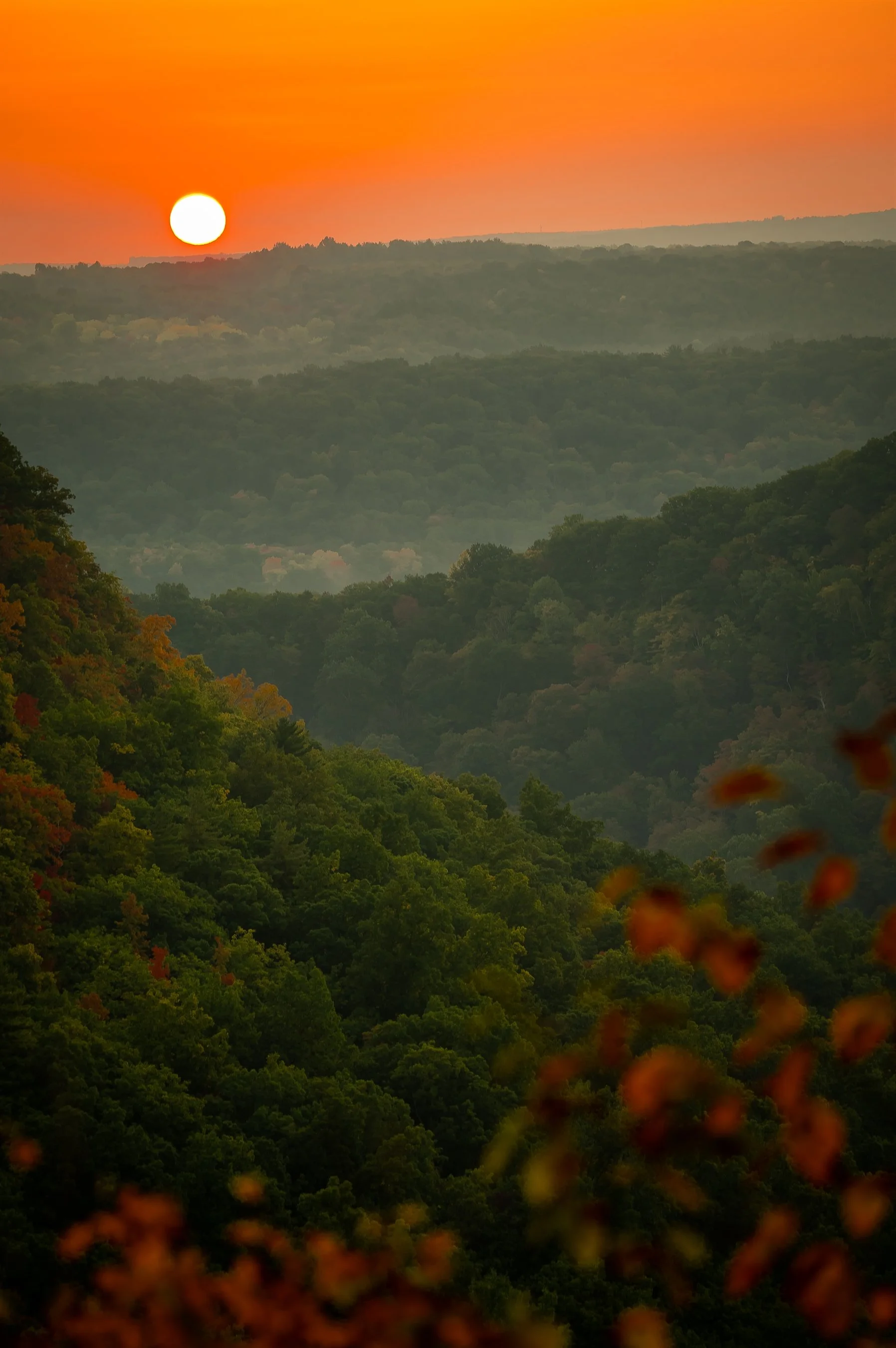 Scenic view of a forested valley at sunset with an orange sky and sun near the horizon.