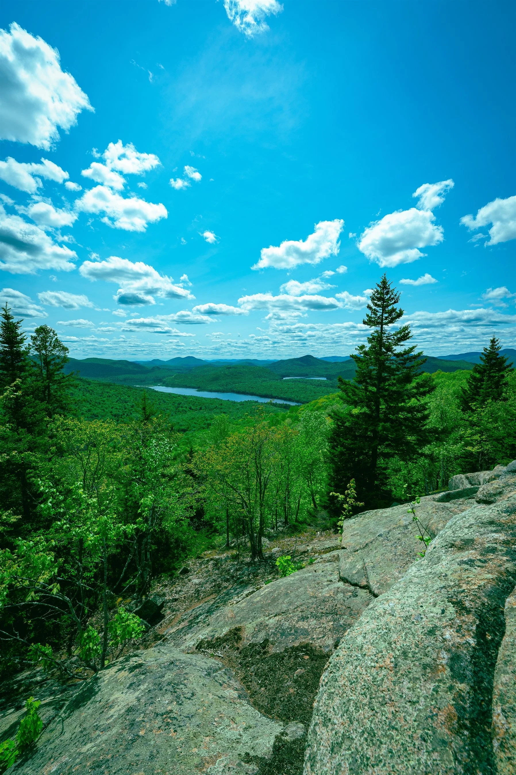 Mountain landscape with forested hills, rocky foreground, and a cloudy sky.