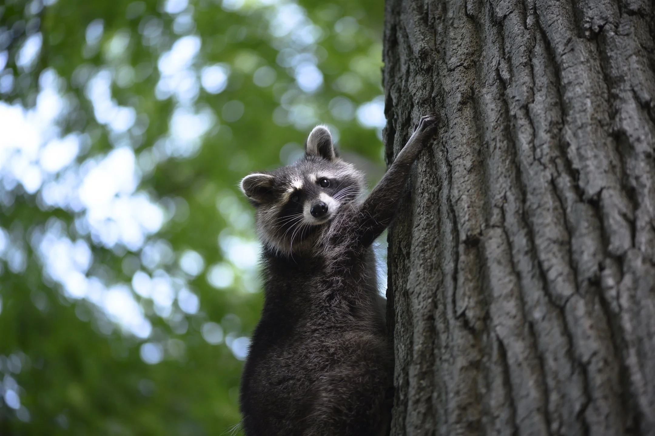 CLIMB BOY CLIMB!_2160_1437.jpg
