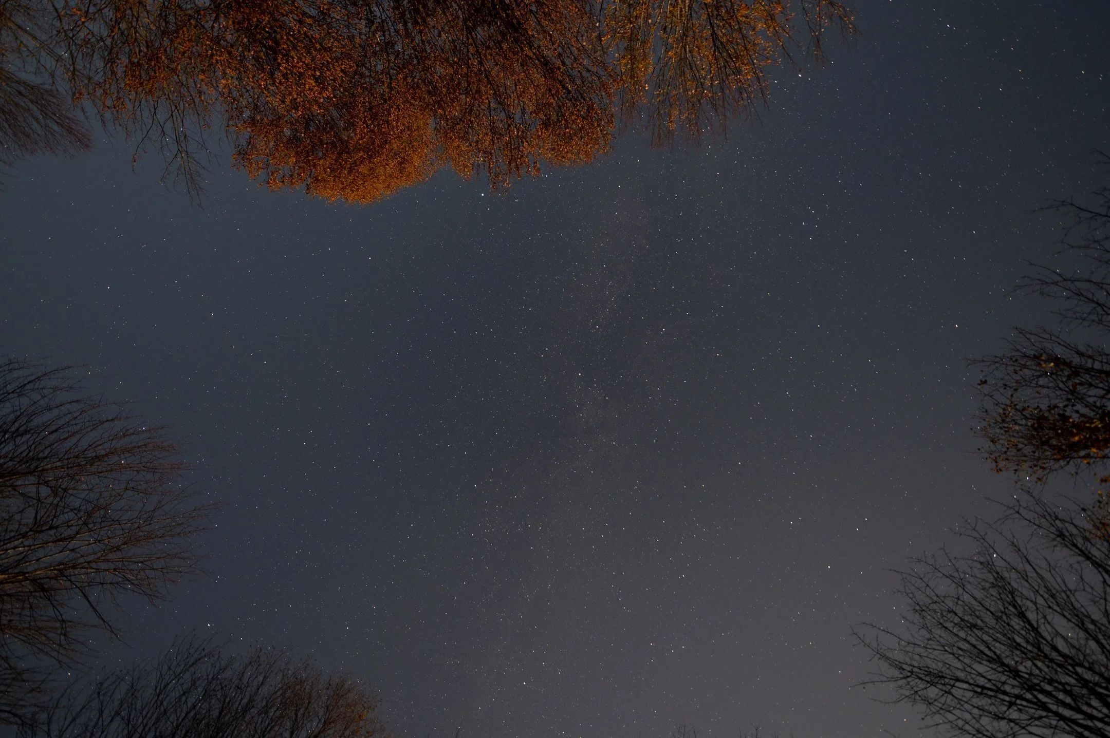 DSC_7676_2160_1437.jpg