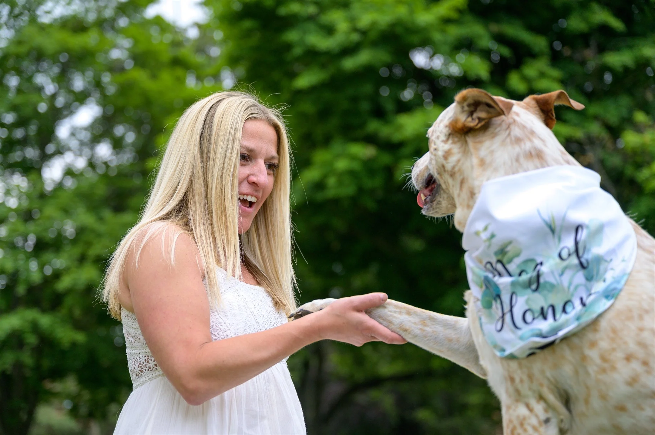 A woman in a white dress shaking hands with a dog wearing a 'Maid of Honor' bandana, outdoors with trees in the background.