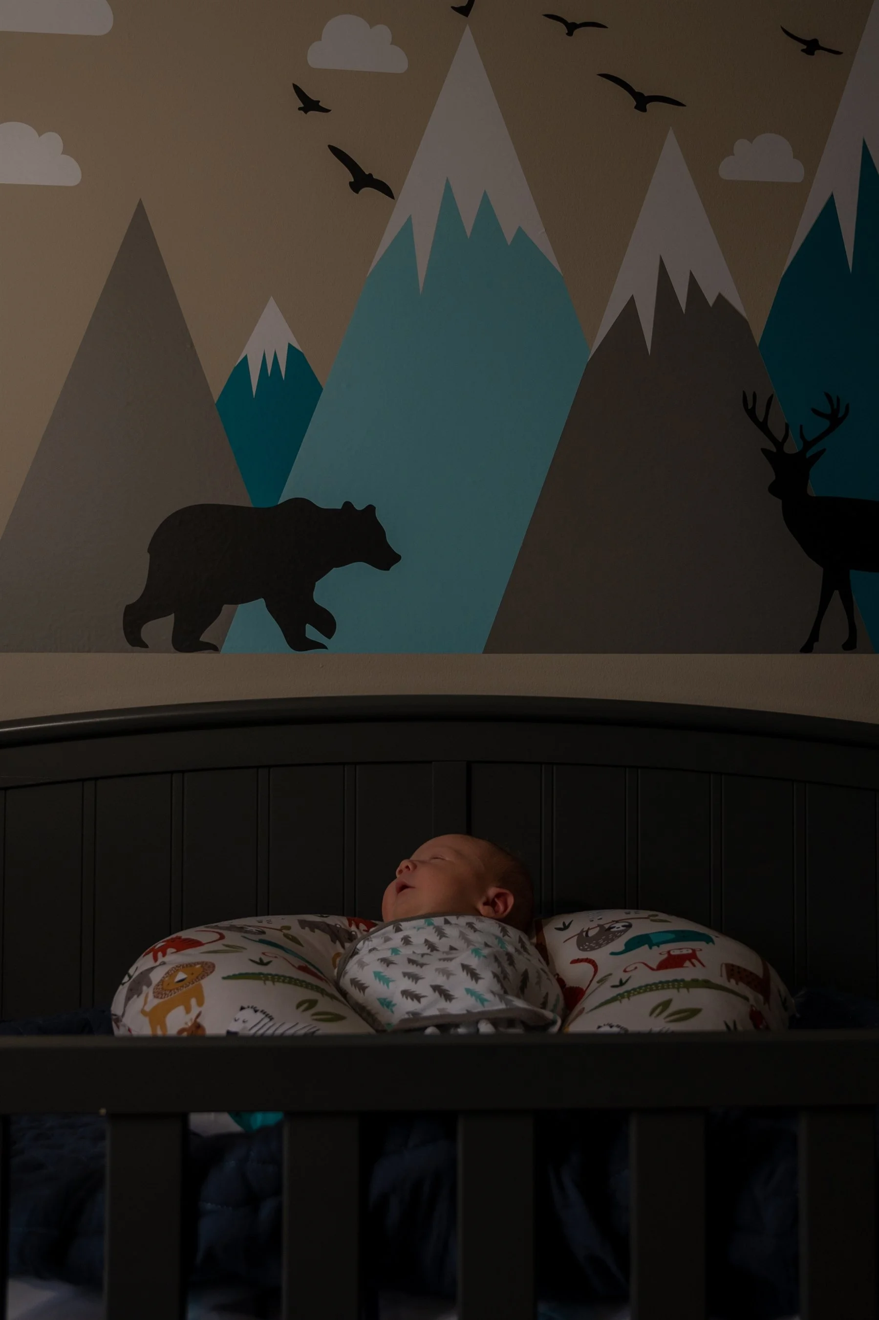 Baby Scotty-36_1799_2700.jpg