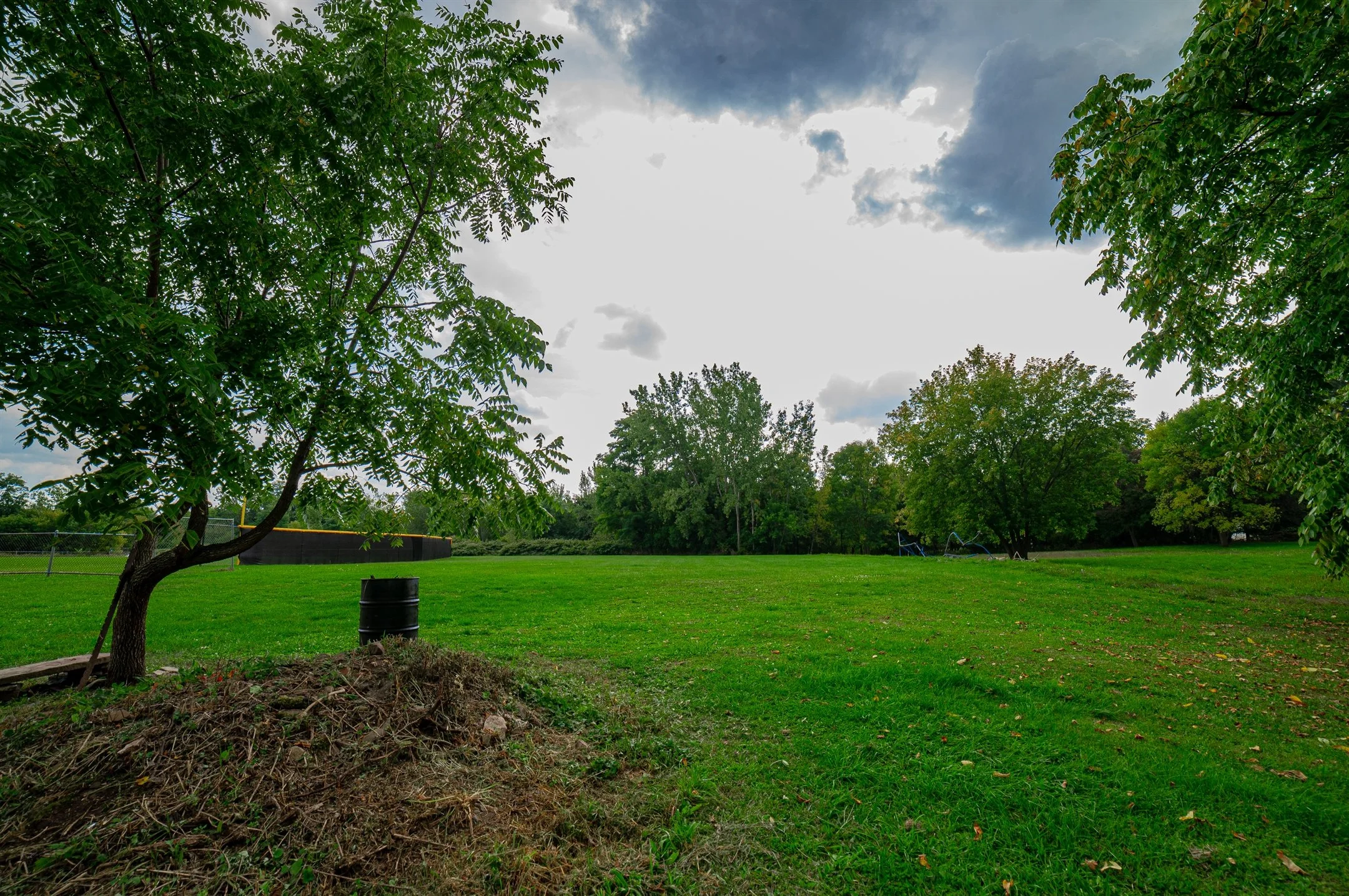 DSC_6558_2160_1436.jpg