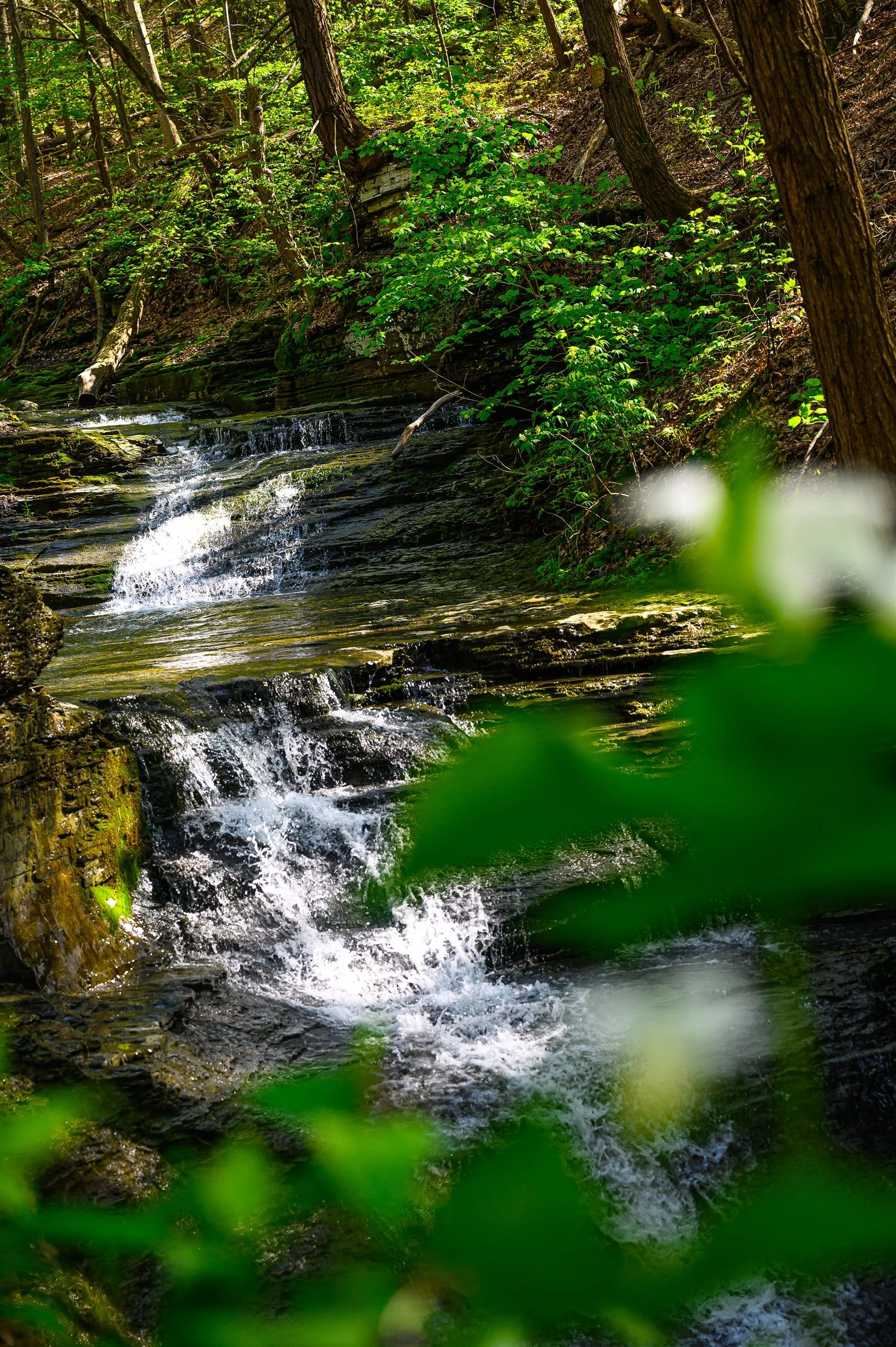 A small waterfall flowing over rocky terraces surrounded by lush green forest vegetation.