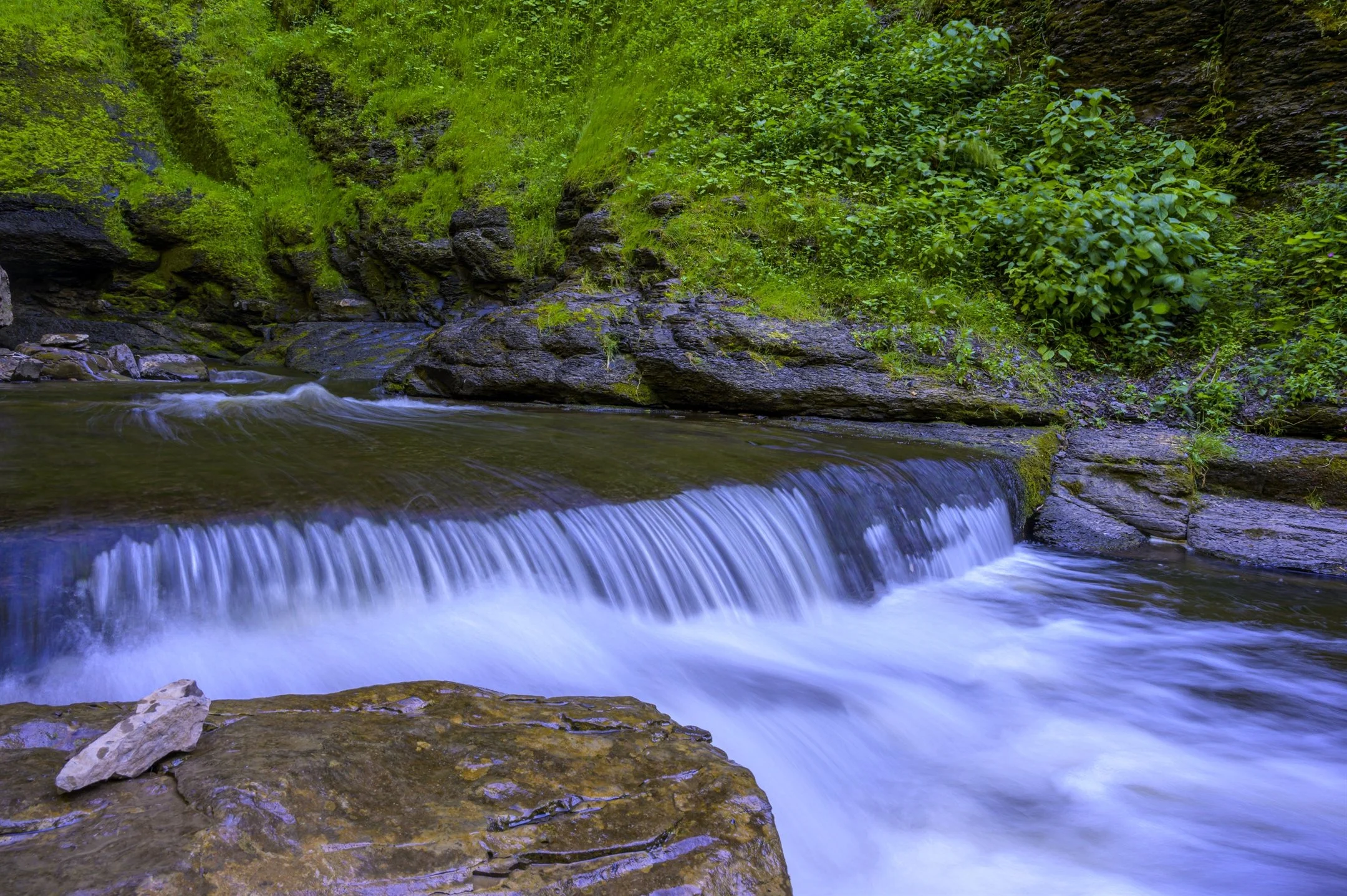 Small waterfall in a lush green forested area with rocks and flowing water.
