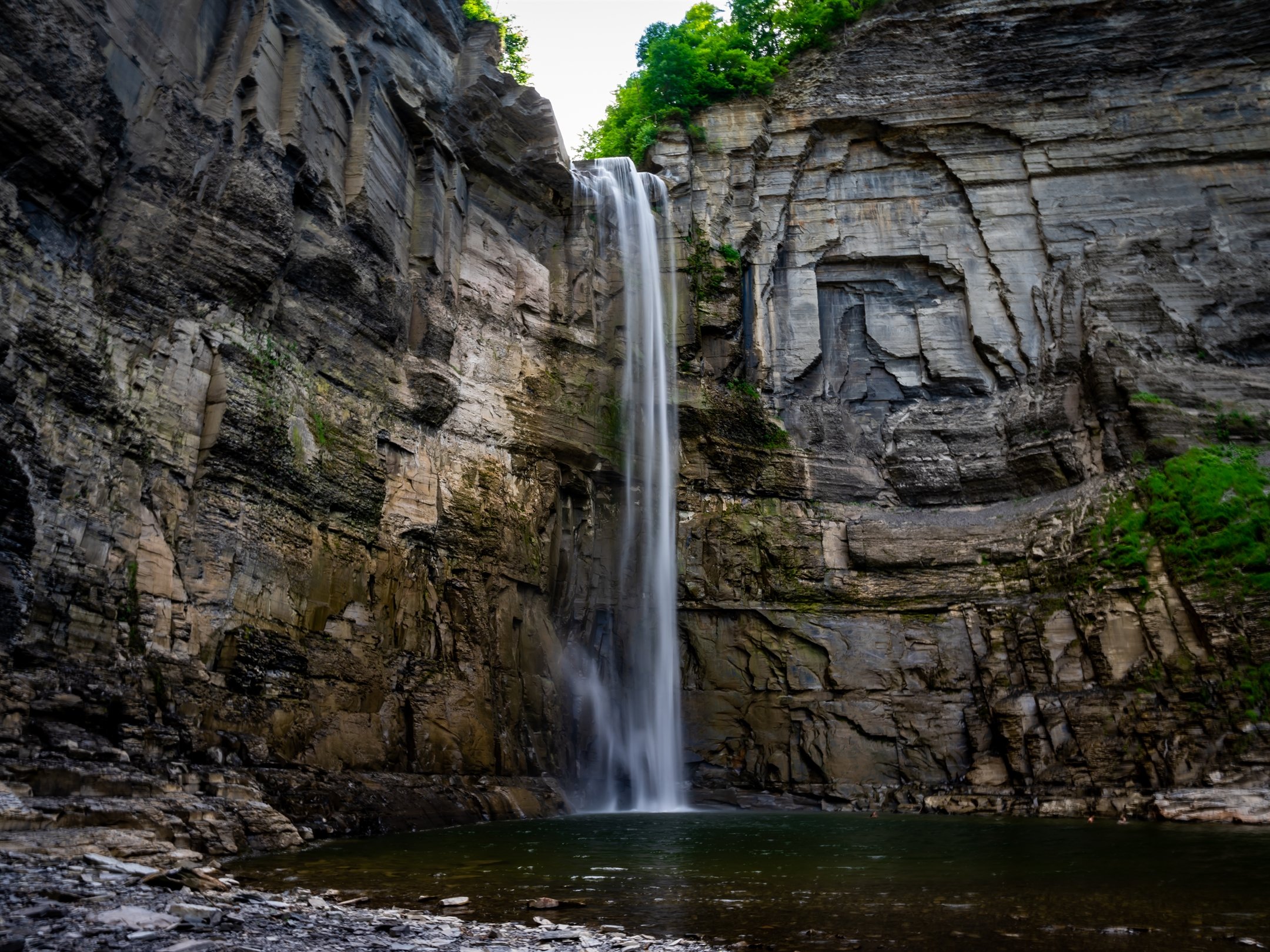 Waterfall cascading down a tall rock cliff into a pool, surrounded by lush green foliage.