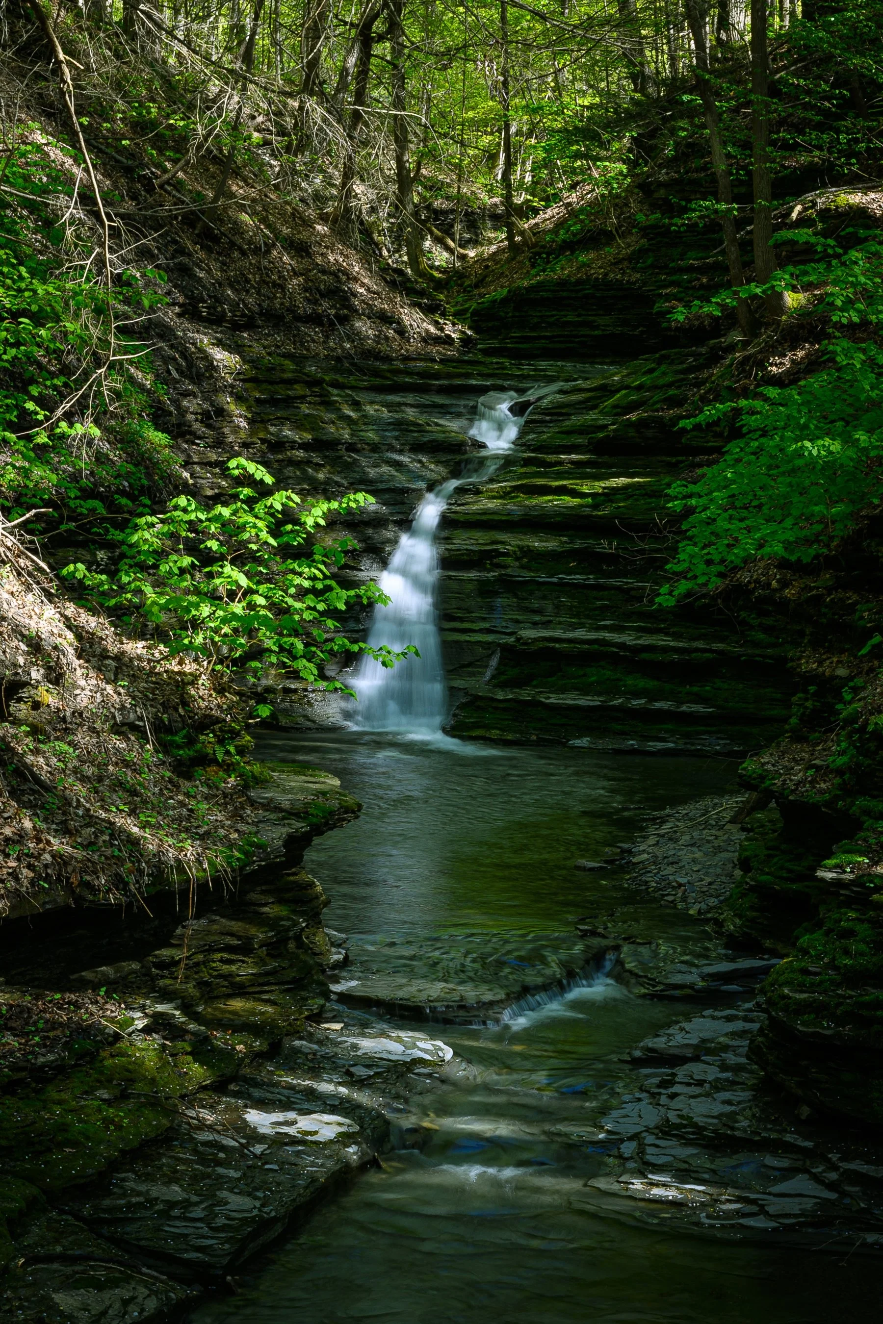 A small waterfall cascading over layered rock formations in a forested area with lush greenery surrounding it.