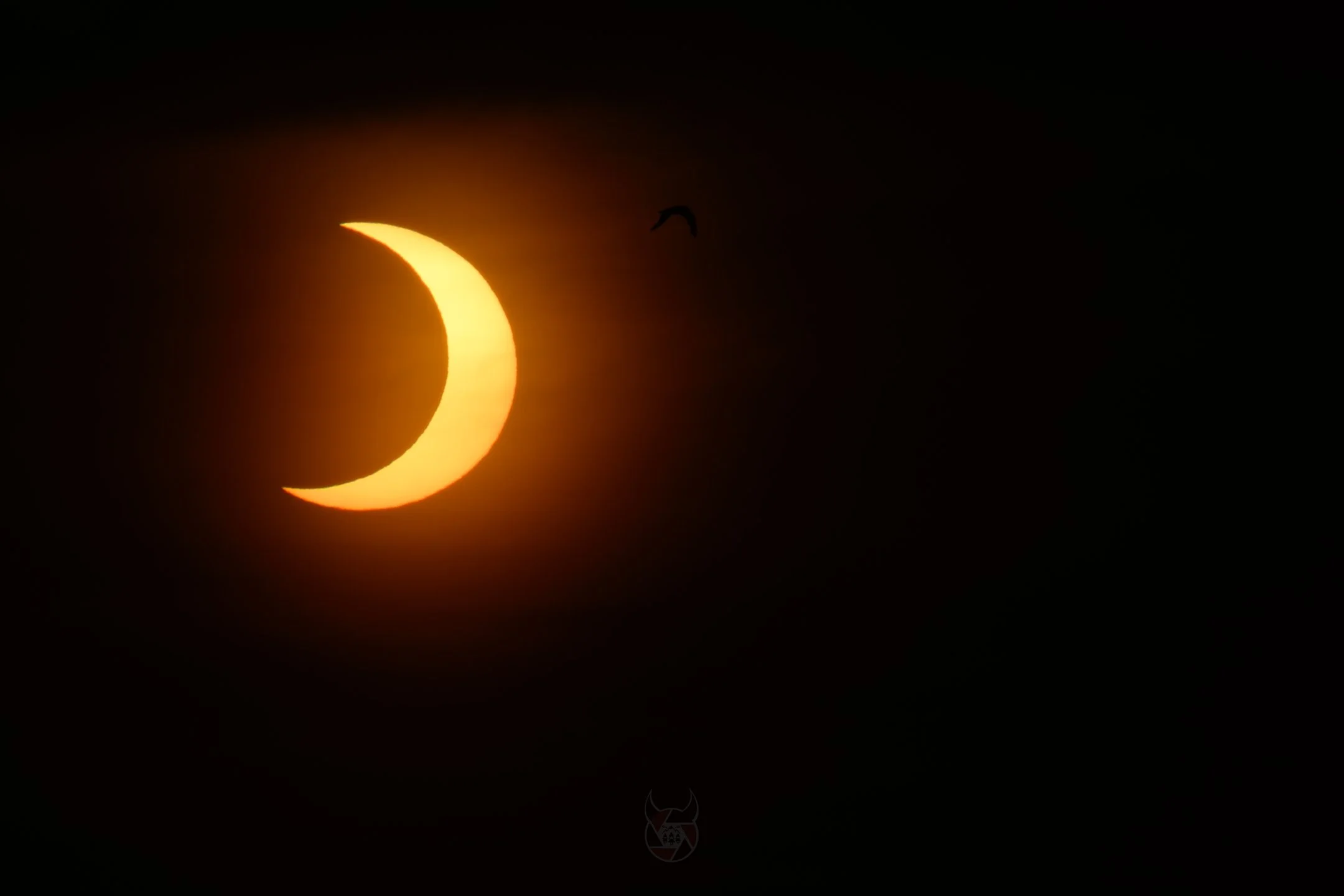 Z62_5914_2160_1440.jpg