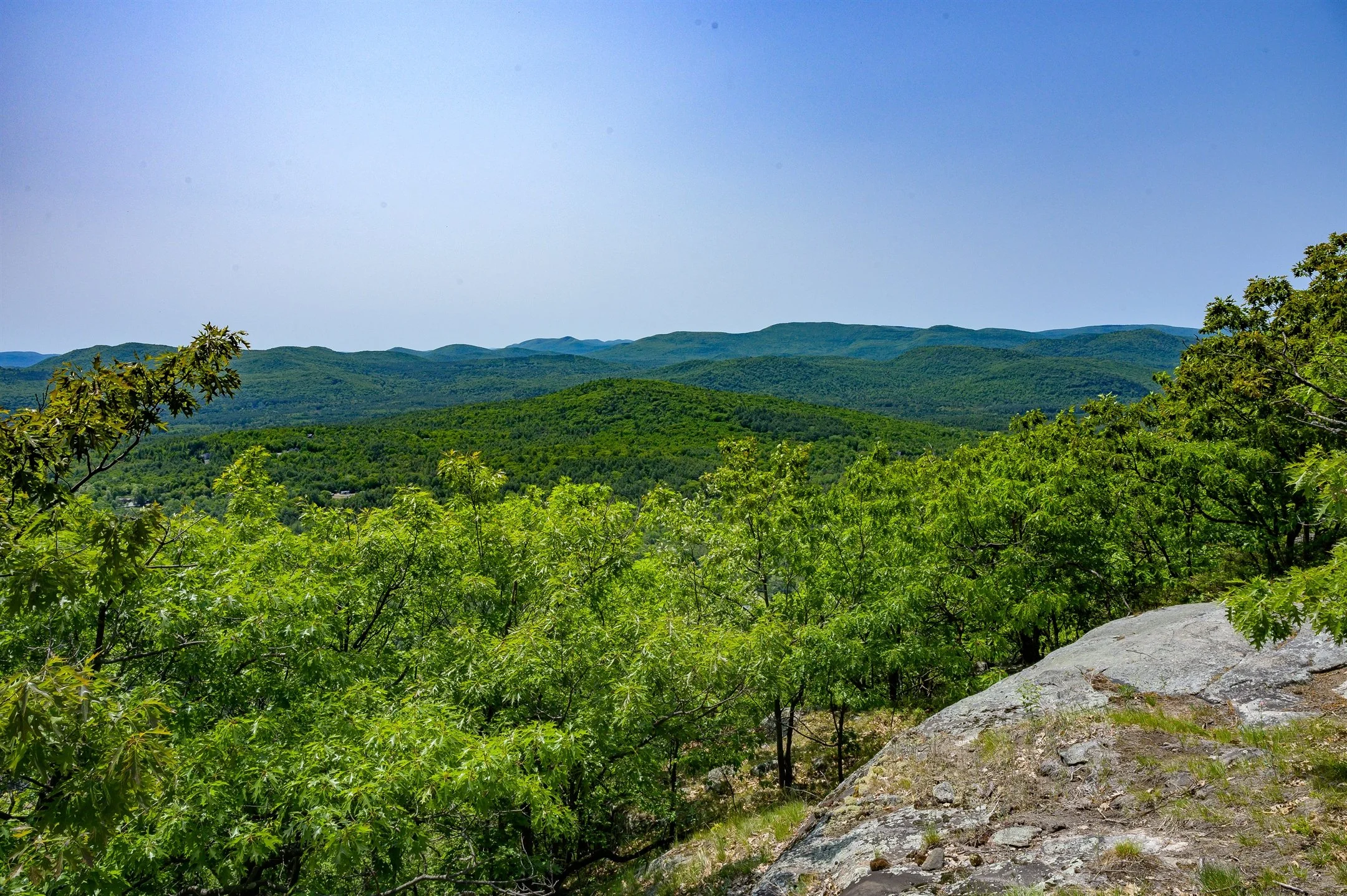 Scenic view of lush green forest and rolling hills under a clear blue sky.