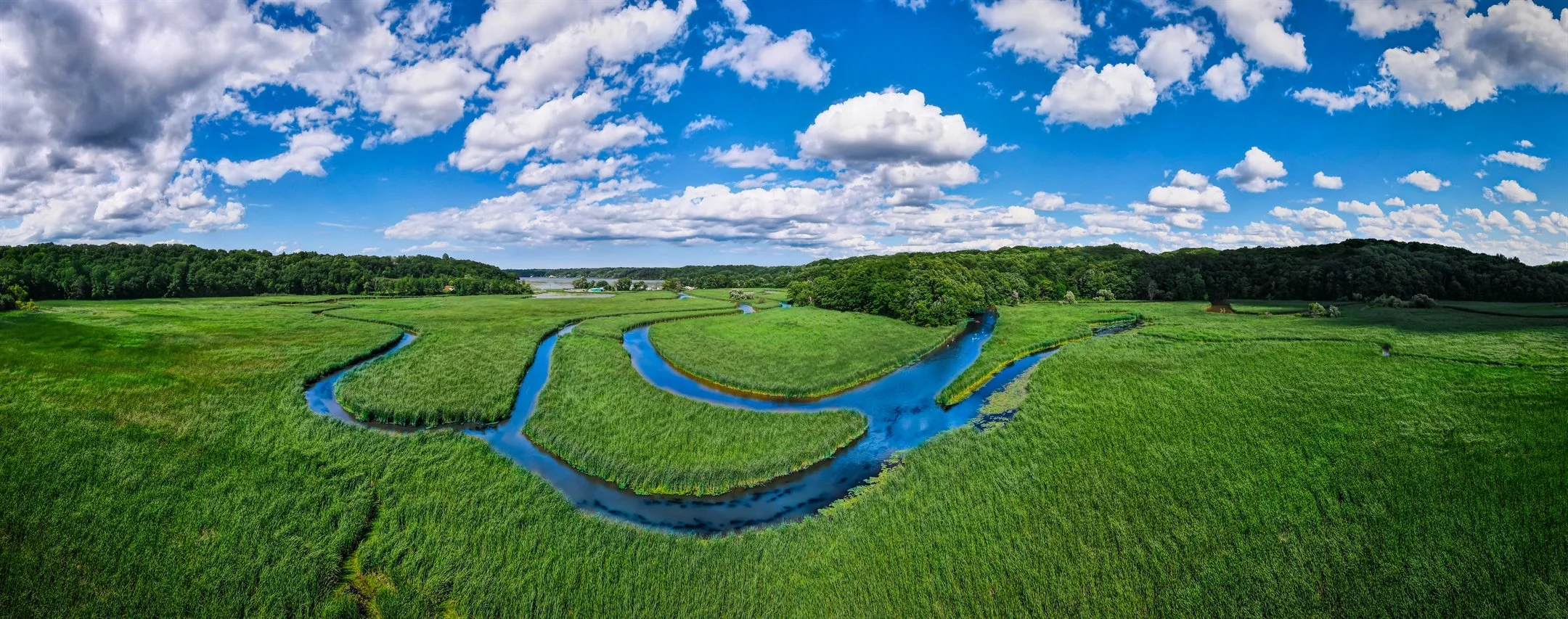 Aerial view of a winding river through lush green wetlands with a forested area and cloudy blue sky in the background.