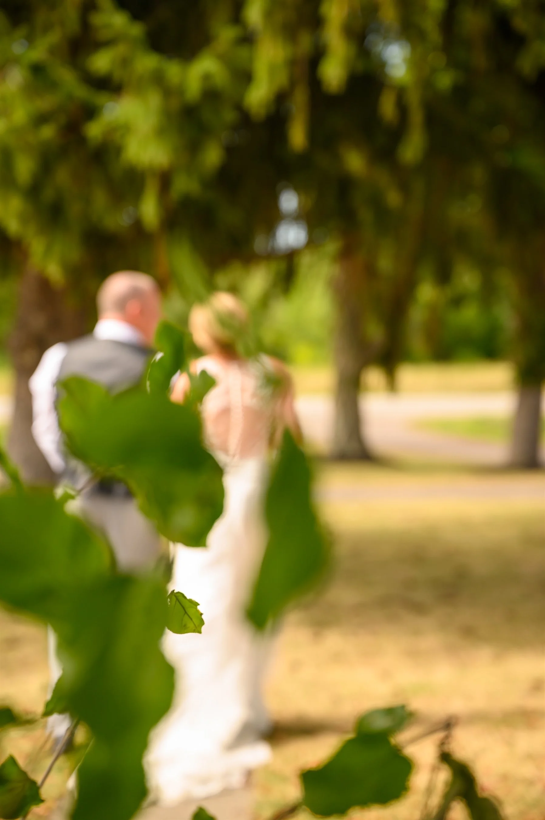 Blurred image of a couple standing together outdoors with green leaves in the foreground.